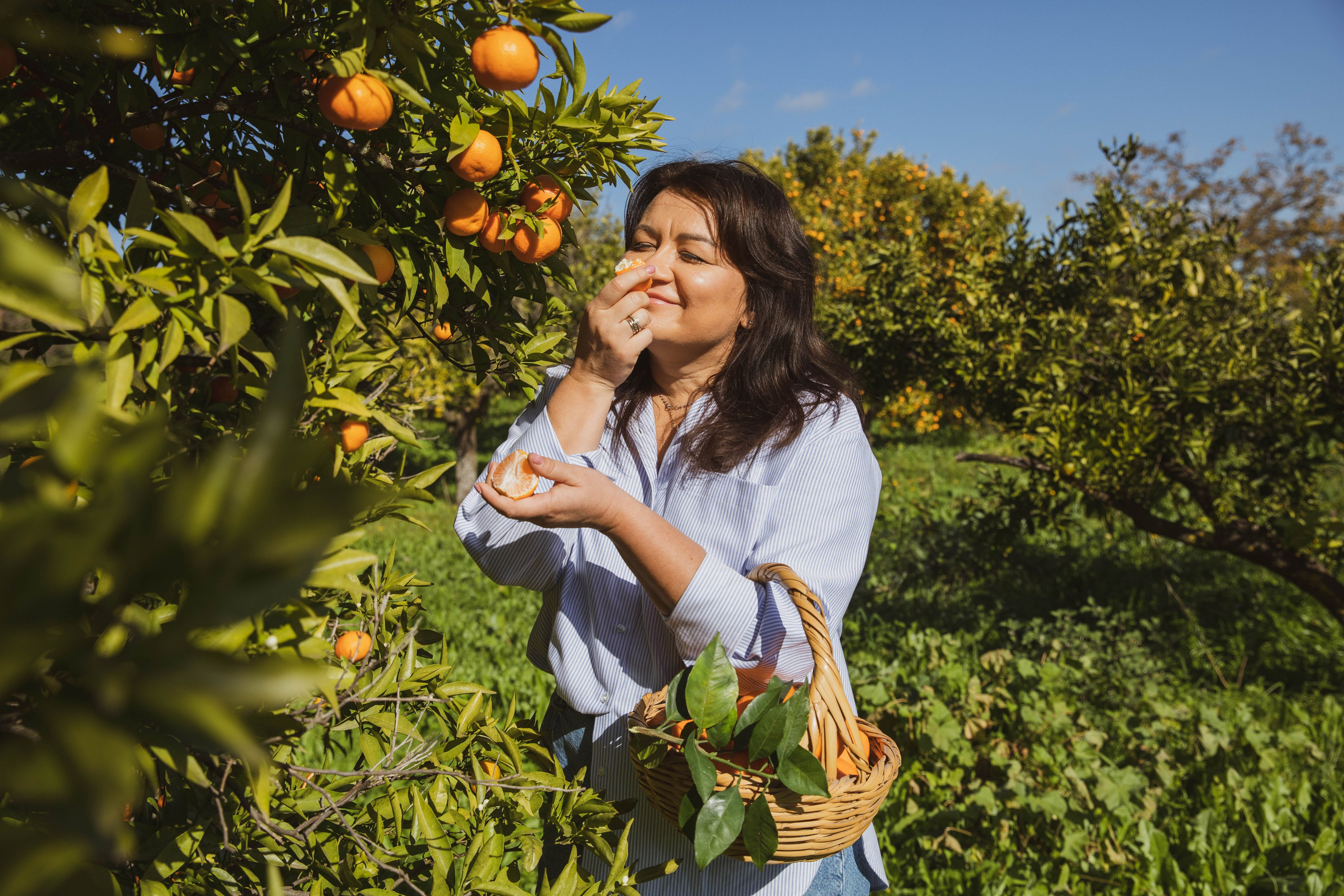 Unique photo session in private orange and tangerine orchards. Photographer in Tavira, Faro, Algarve, Portugal