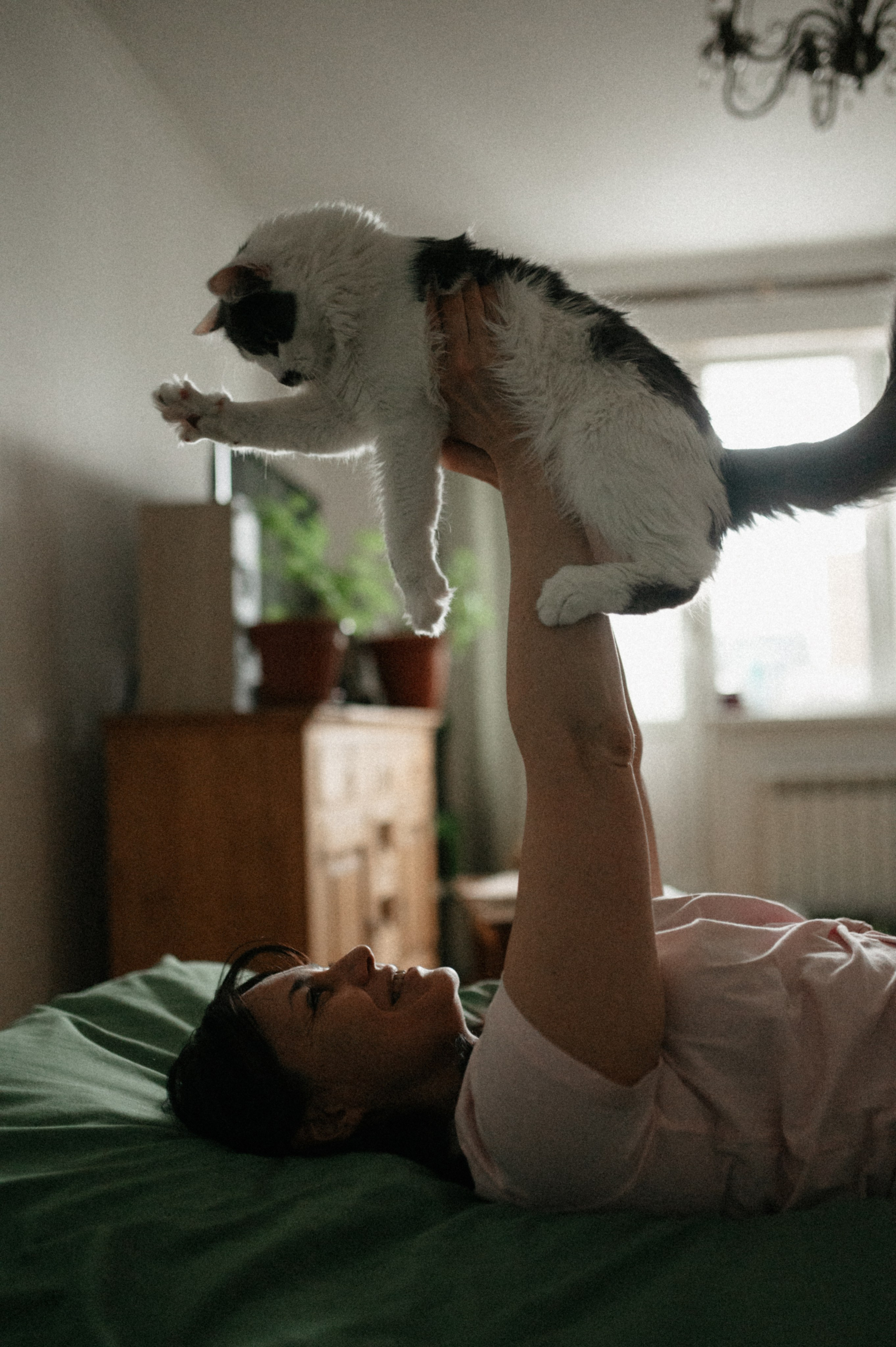 Оля и её меховая банда. Фотограф анималист в Москве Ольга Агушева