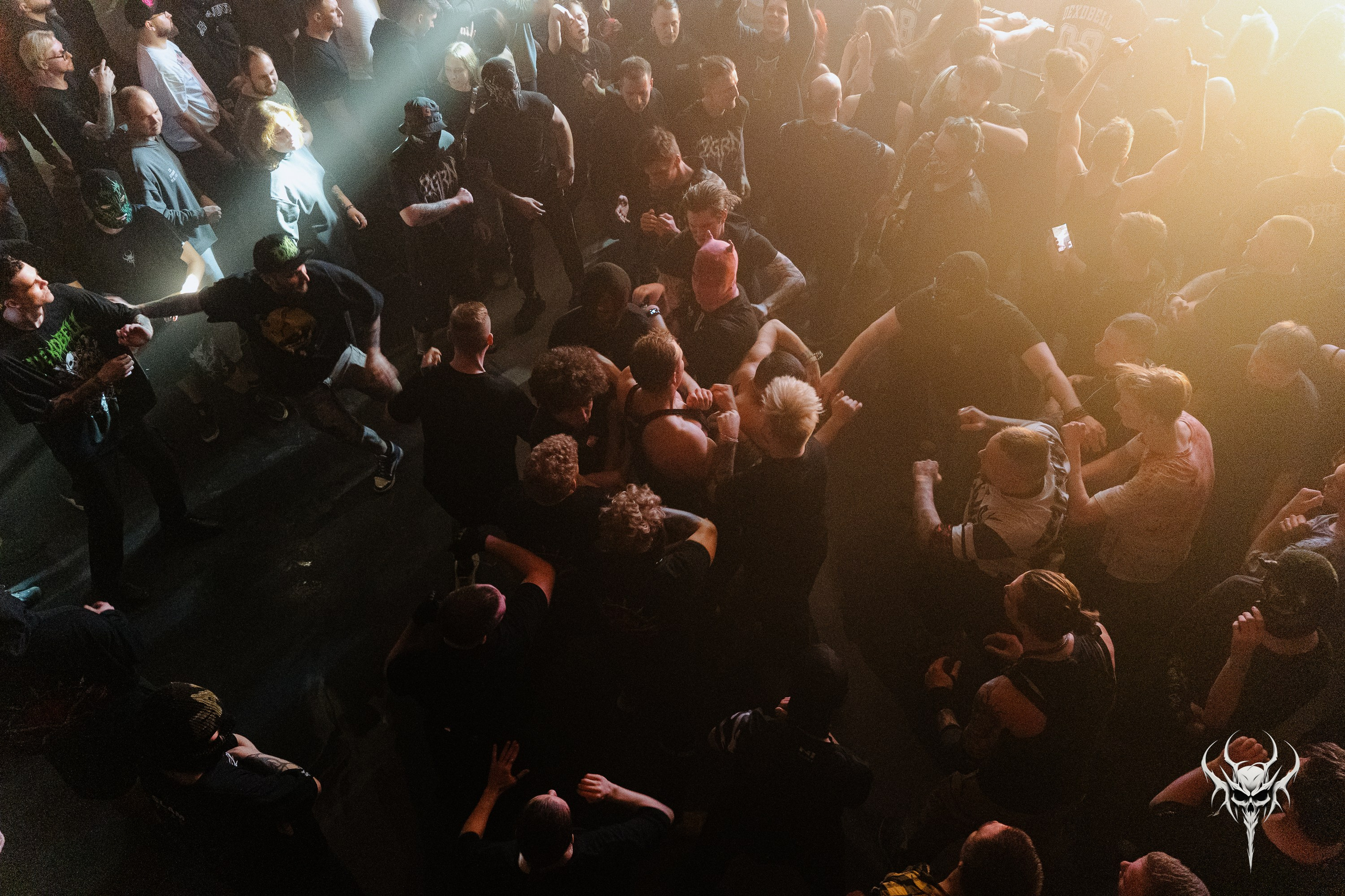 Dexdbell. Рассвет. 01.03.2026. Главная