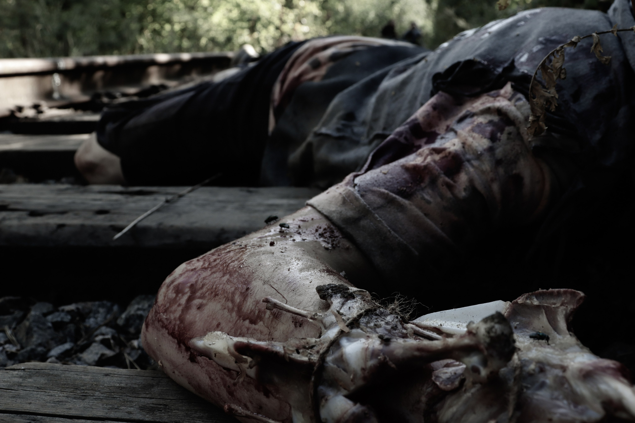 Фотосет по сериалу «Ходячие мертвецы» 3 сезон. Ивентный фотограф в Санкт-Петербурге Олег Комков