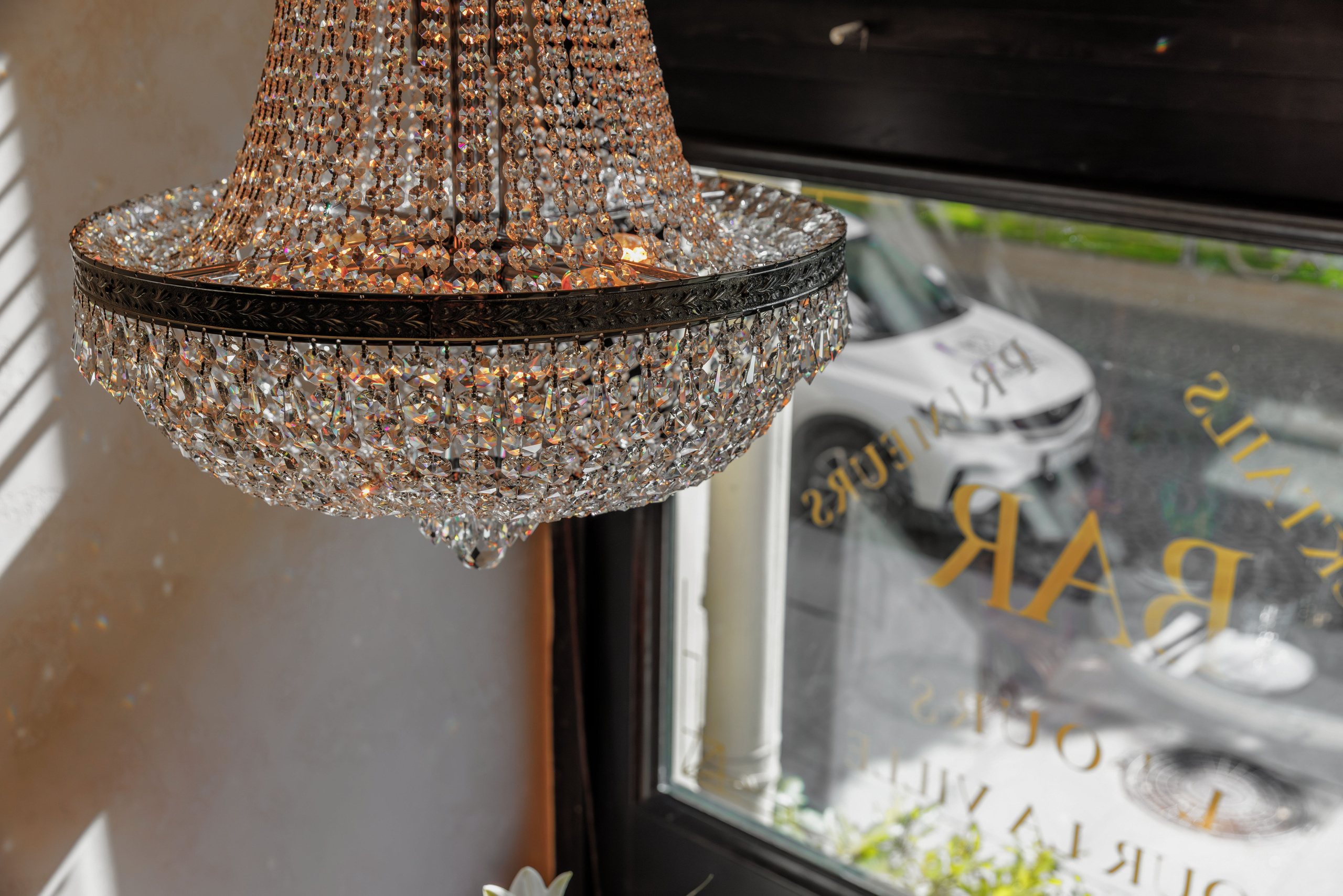 Медведь. Репортажный фотограф в Санкт-Петербурге Жолудев Владислав