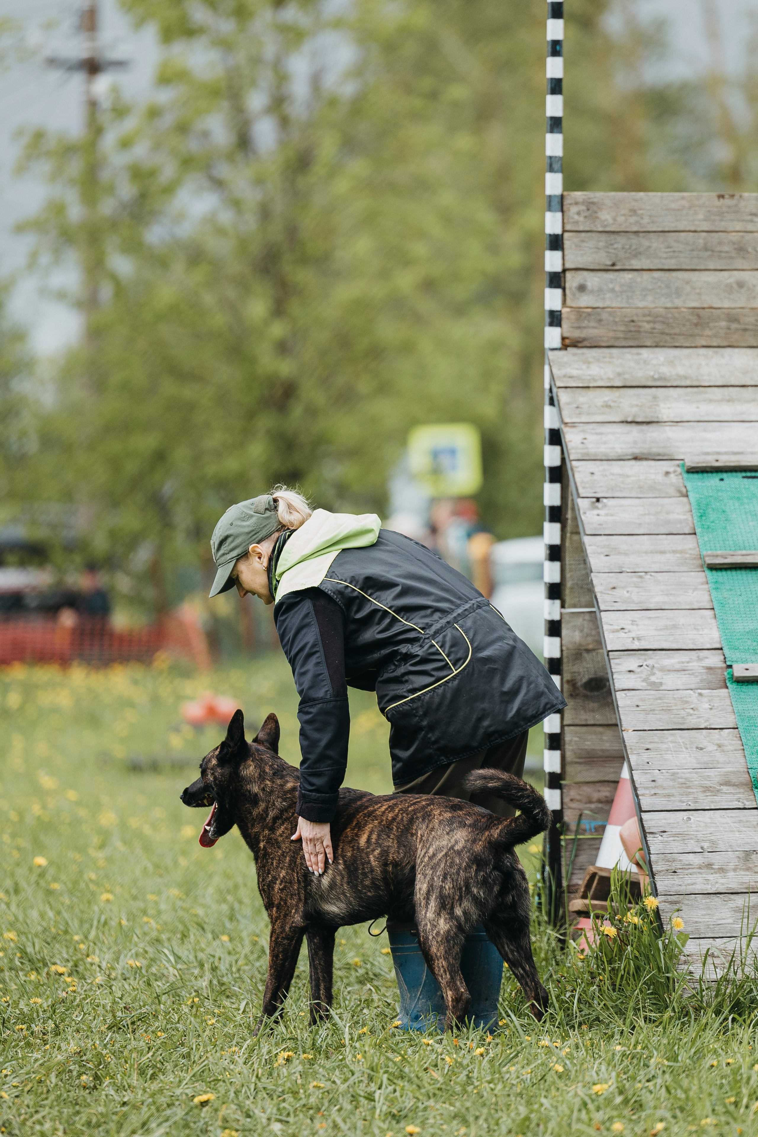 26.05.25 г. Пушкин квалификационные соревнования. Фотограф-анималист Анна Маринич