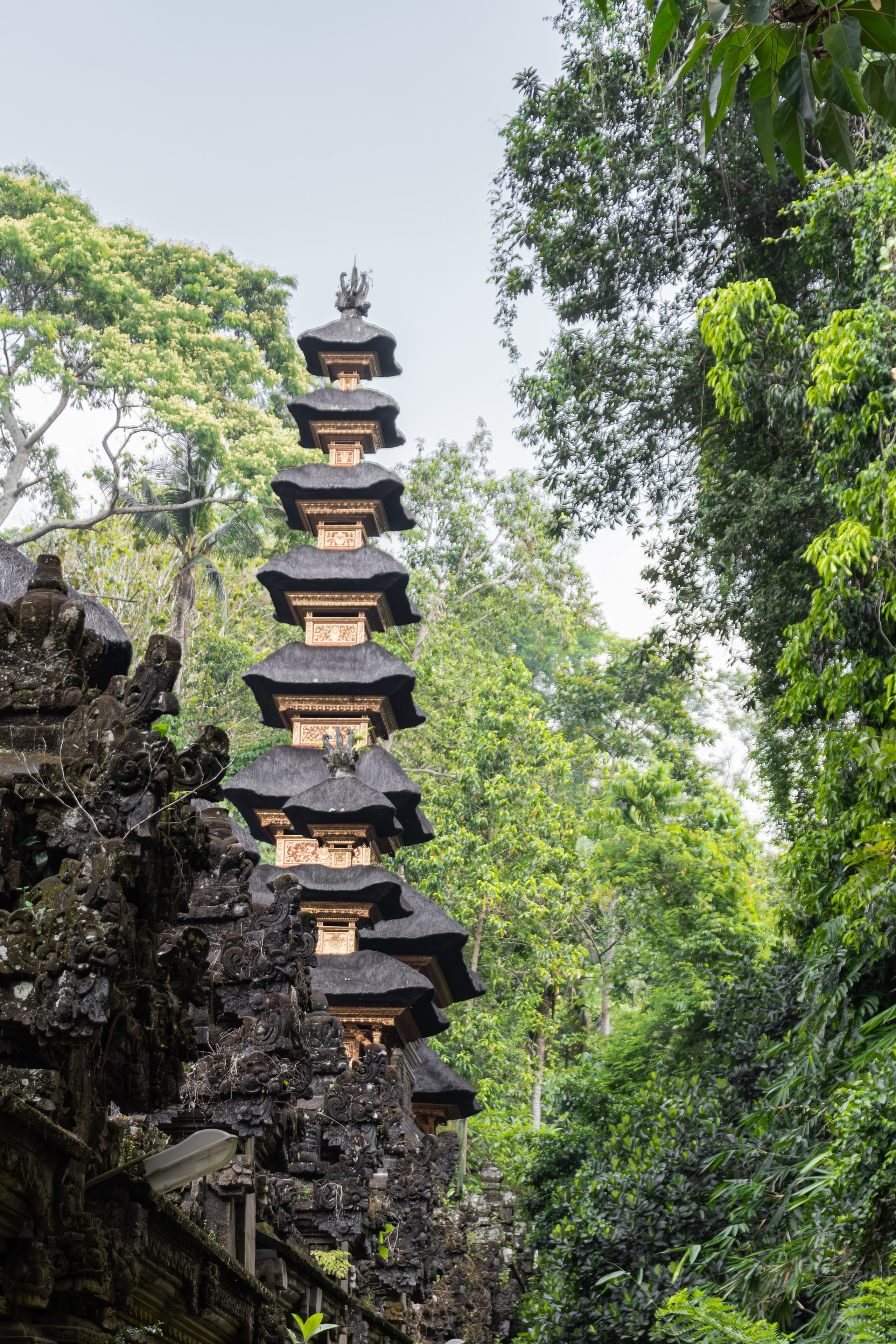 Остров Бали г. Убуд. Фотографии из путешествий