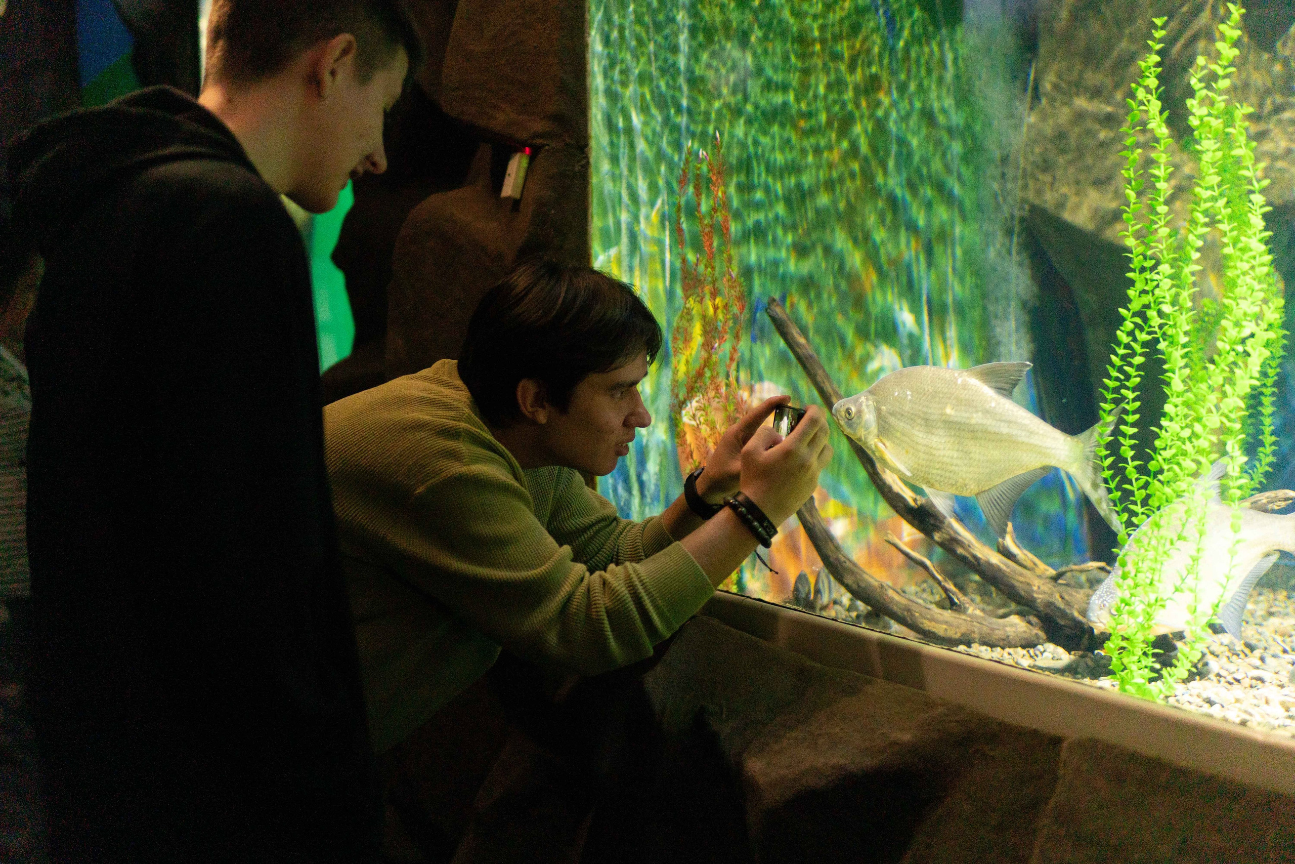 Экскурсия краснодарской делегации. Медиа-портфолио Марии Абрашиной