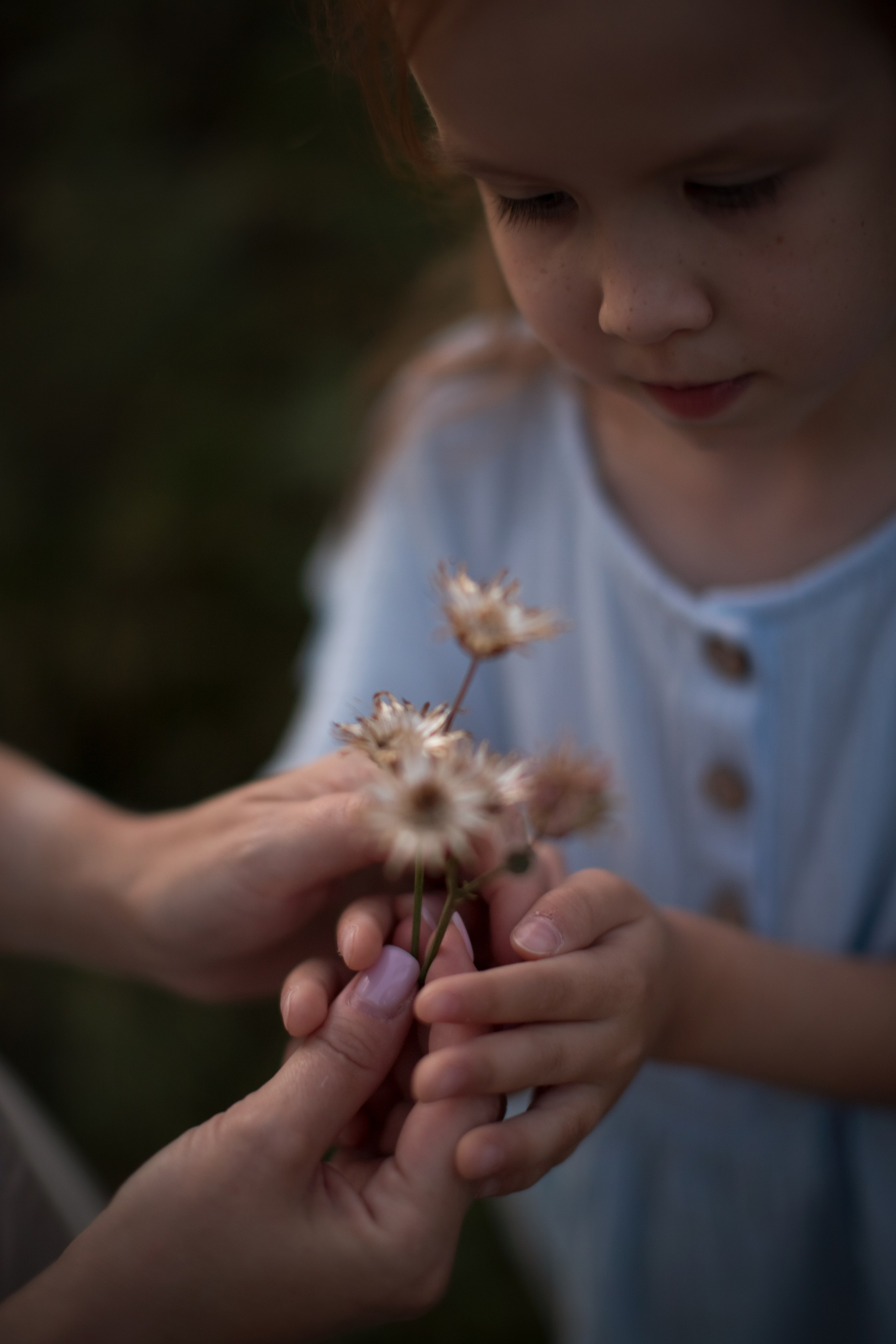 Семейное лето. Семейный и детский фотограф в Саратове Полина Коткина