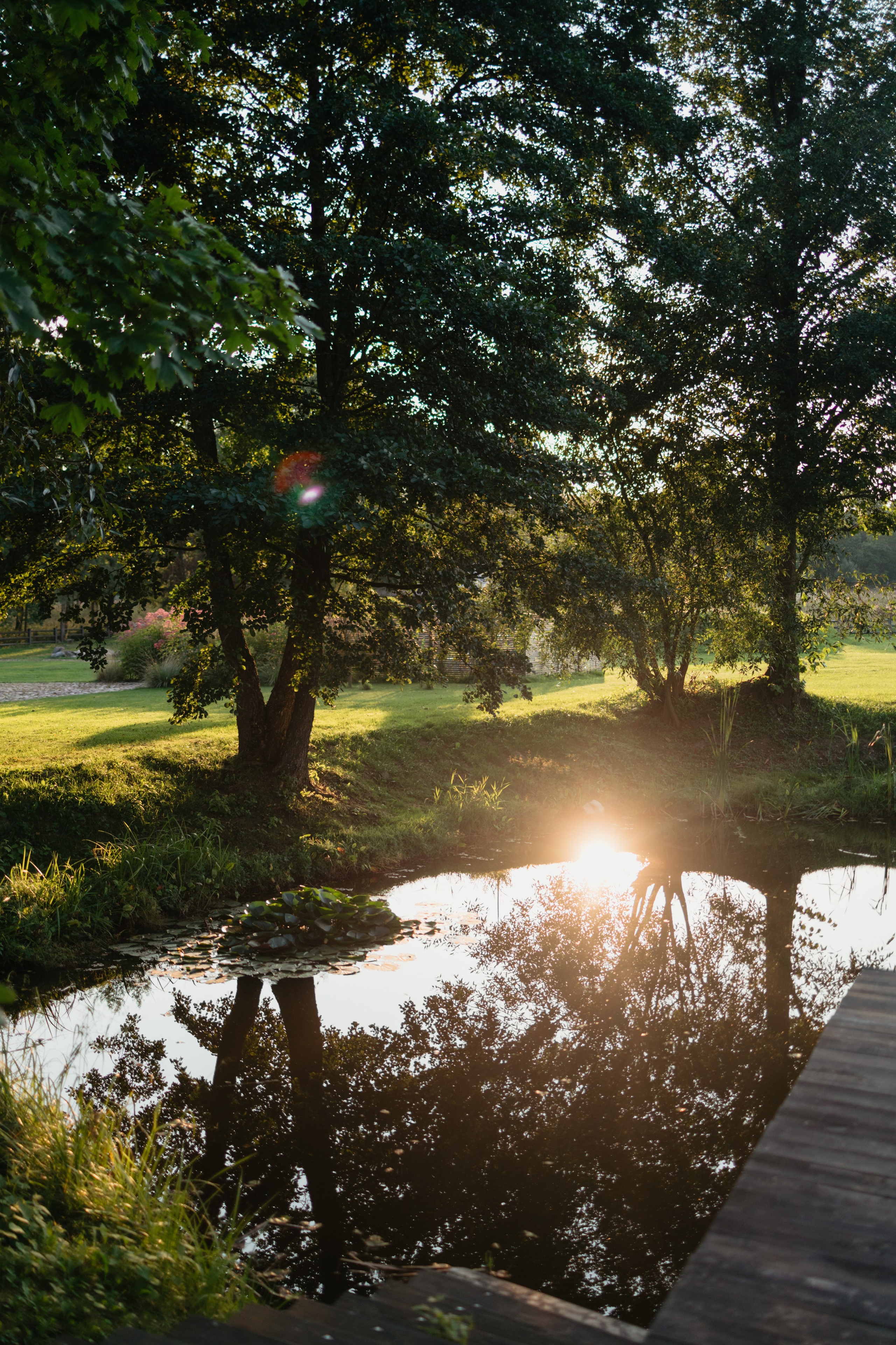 NSP 30 лет | Усадьба «Двор Стайки». Свадебный фотограф в Минске Владислав Бабич
