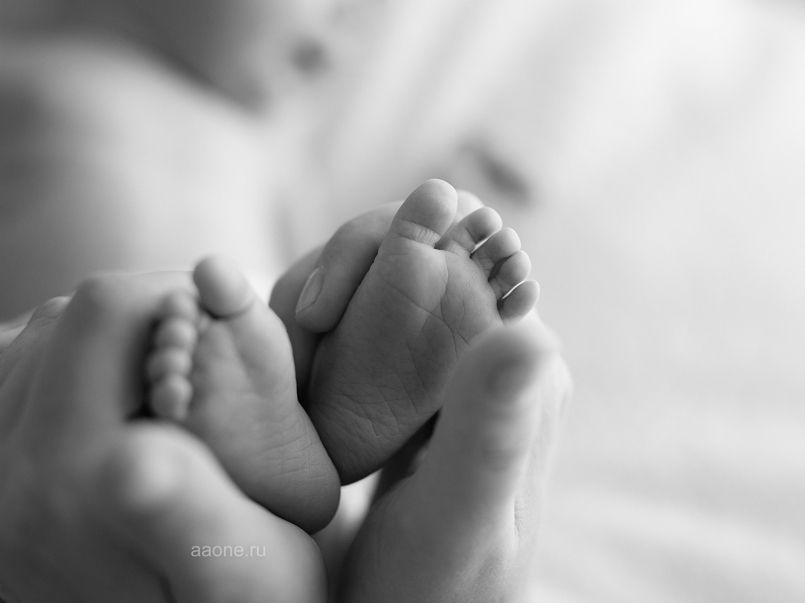 Цены NEWBORN с примерами. Фотограф в Перми Anastasia Aone