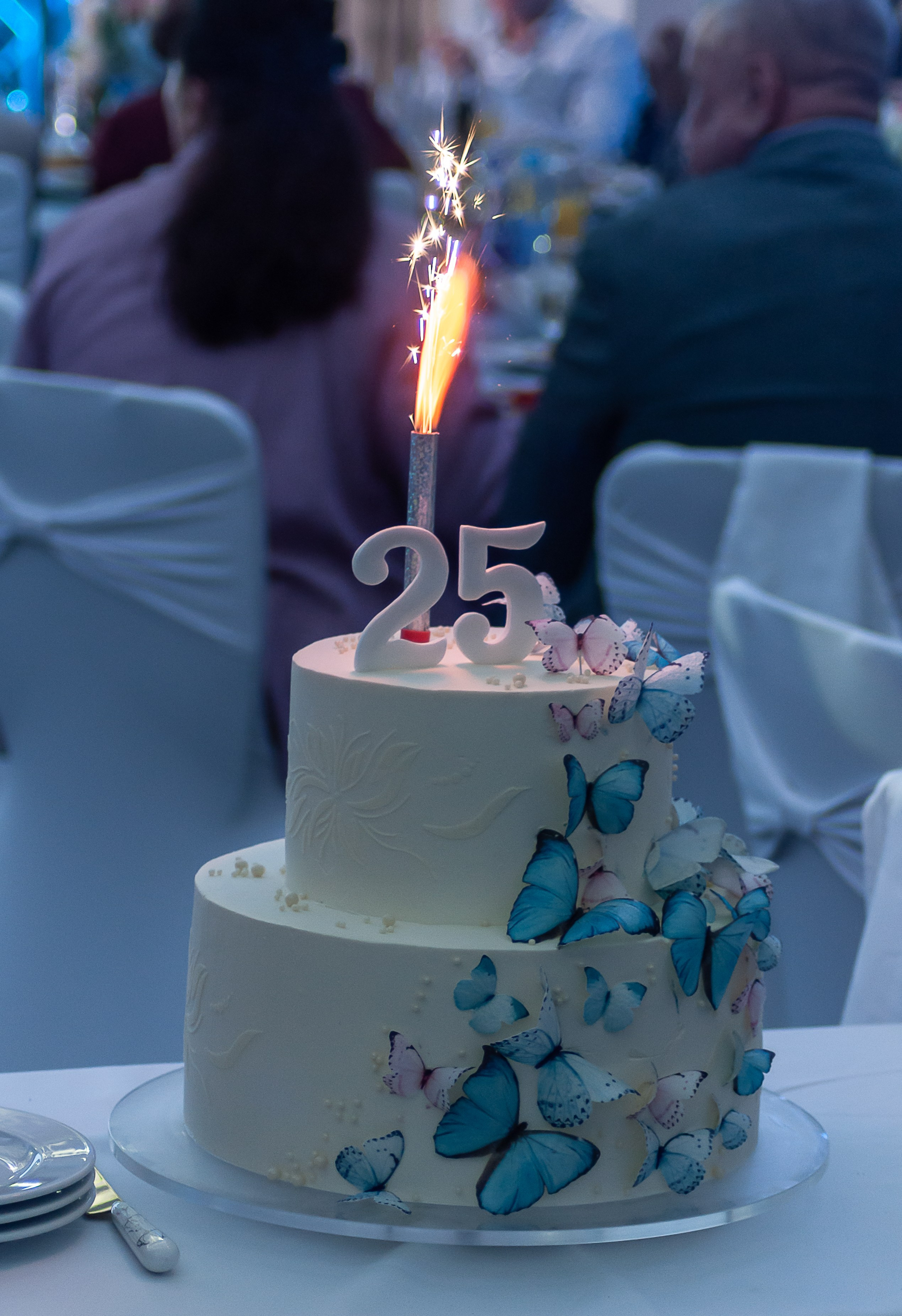 25 лет добра: праздник Самарского хосписа в фотографиях. Тёплые моменты, искренние эмоции и праздник, который останется в памяти. Фотограф Самара — репортажная, свадебная, интерьерная съёмка от Ильи Петрова, профессионала своего дела