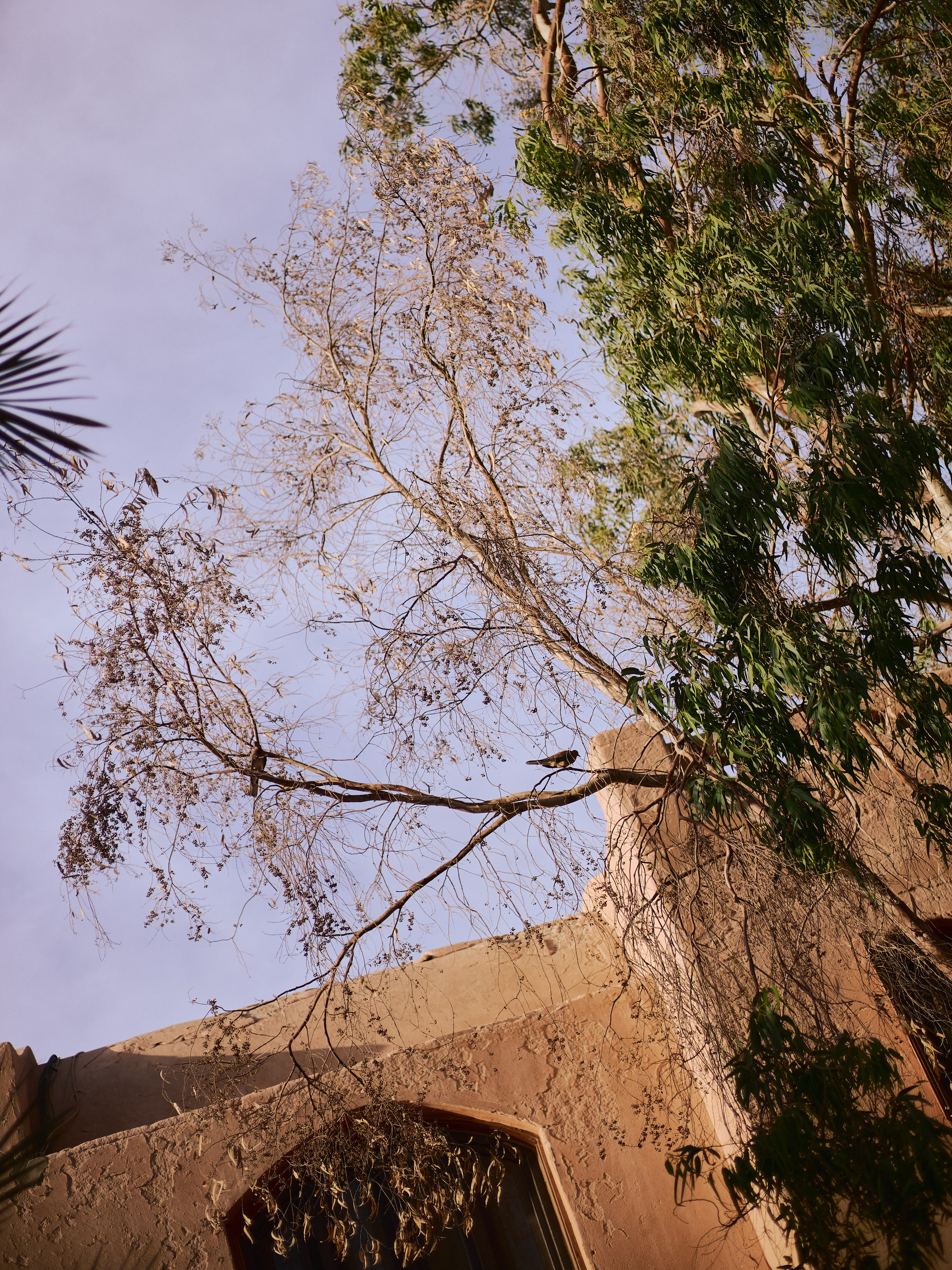 Диптих. Jorgis — фотограф в Хургаде / обучение фотографии