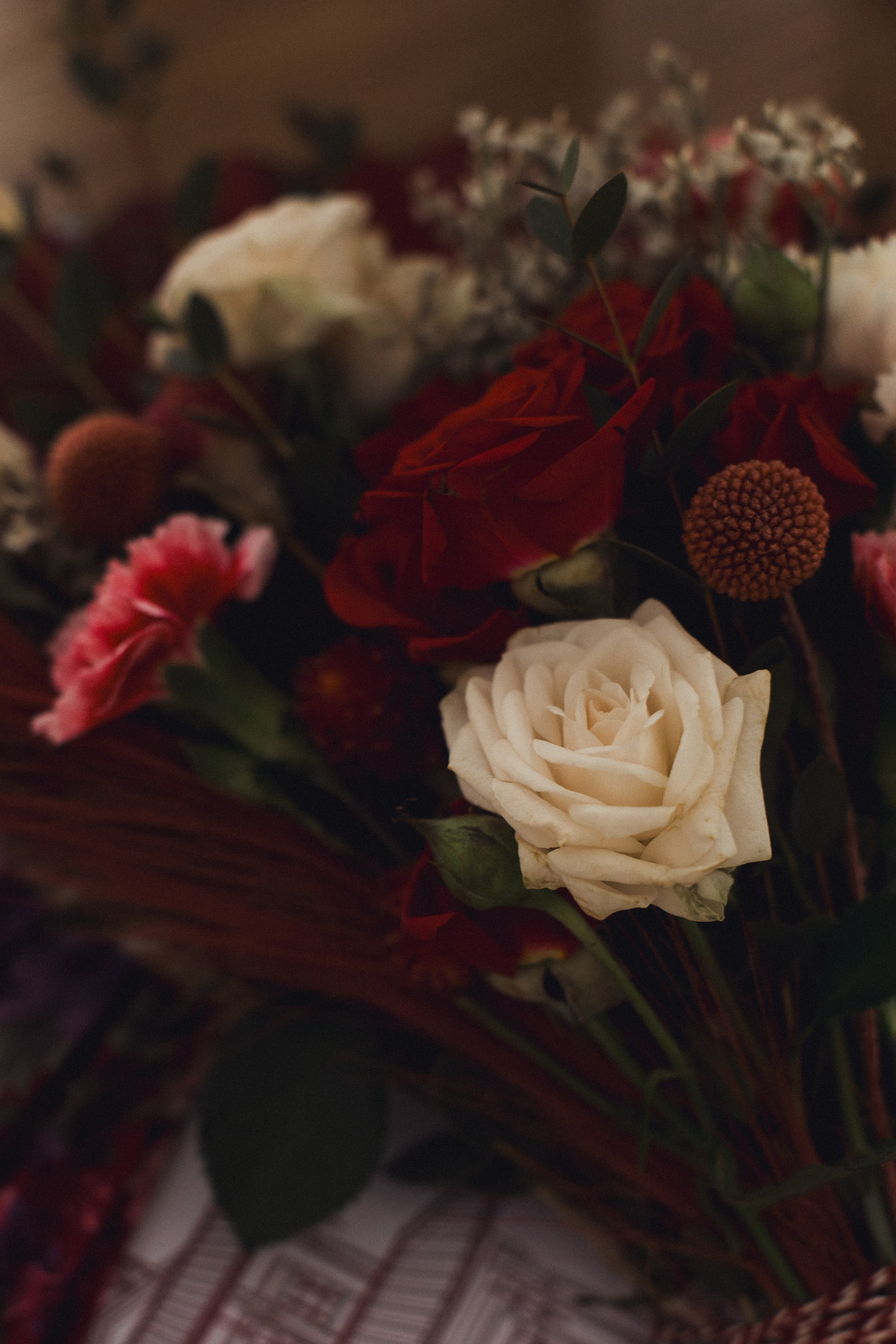 Портфолио. Семейный и свадебный фотограф в Екатеринбурге Светлана Жаркова