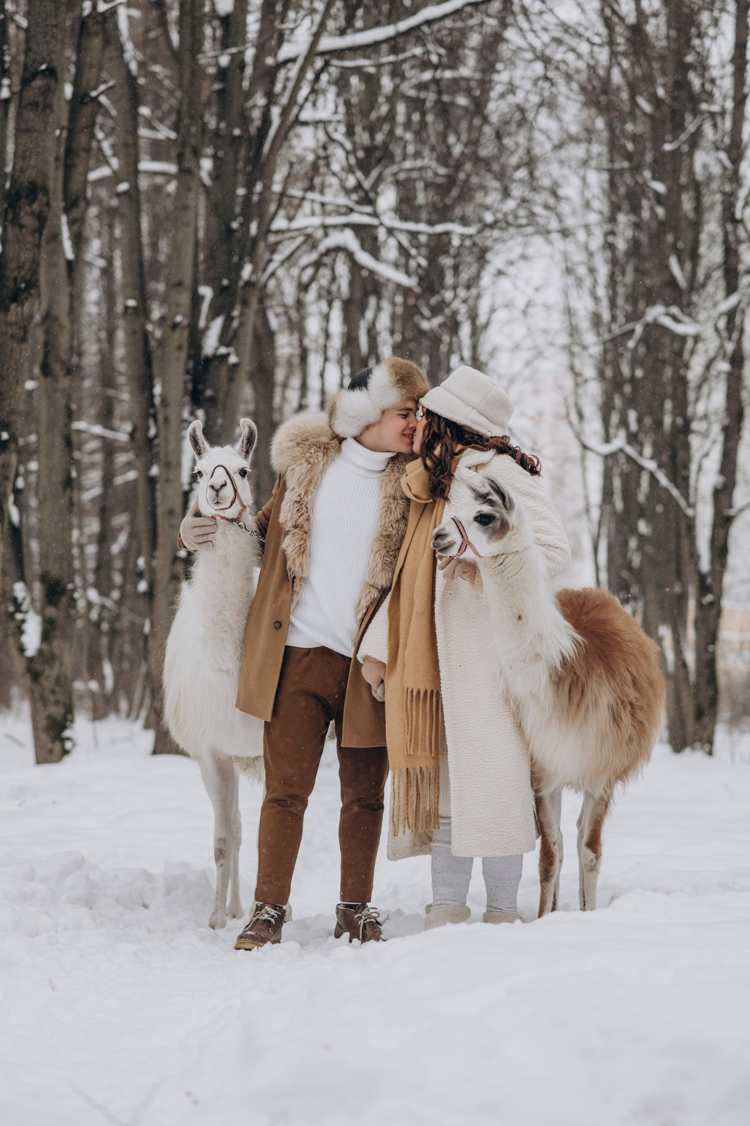 Зимняя фотосессия с Альпаками. Свадебный фотограф в Дмитрове