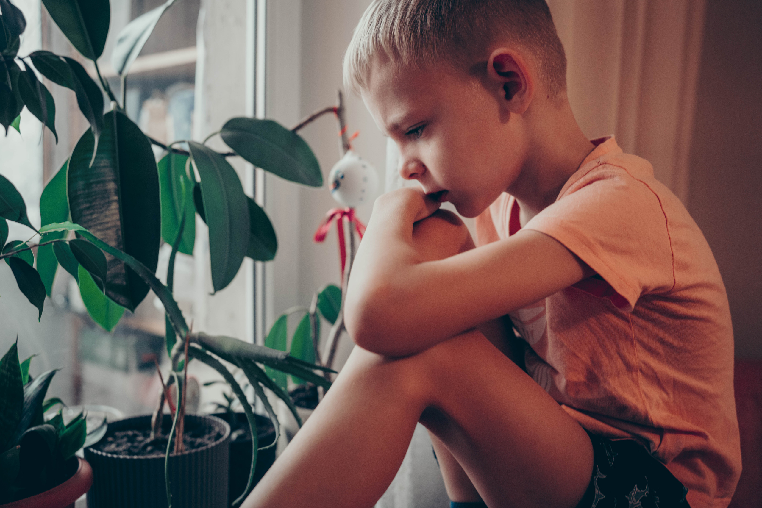 Истории. Детский и семейный фотограф Надежда Дорофеева