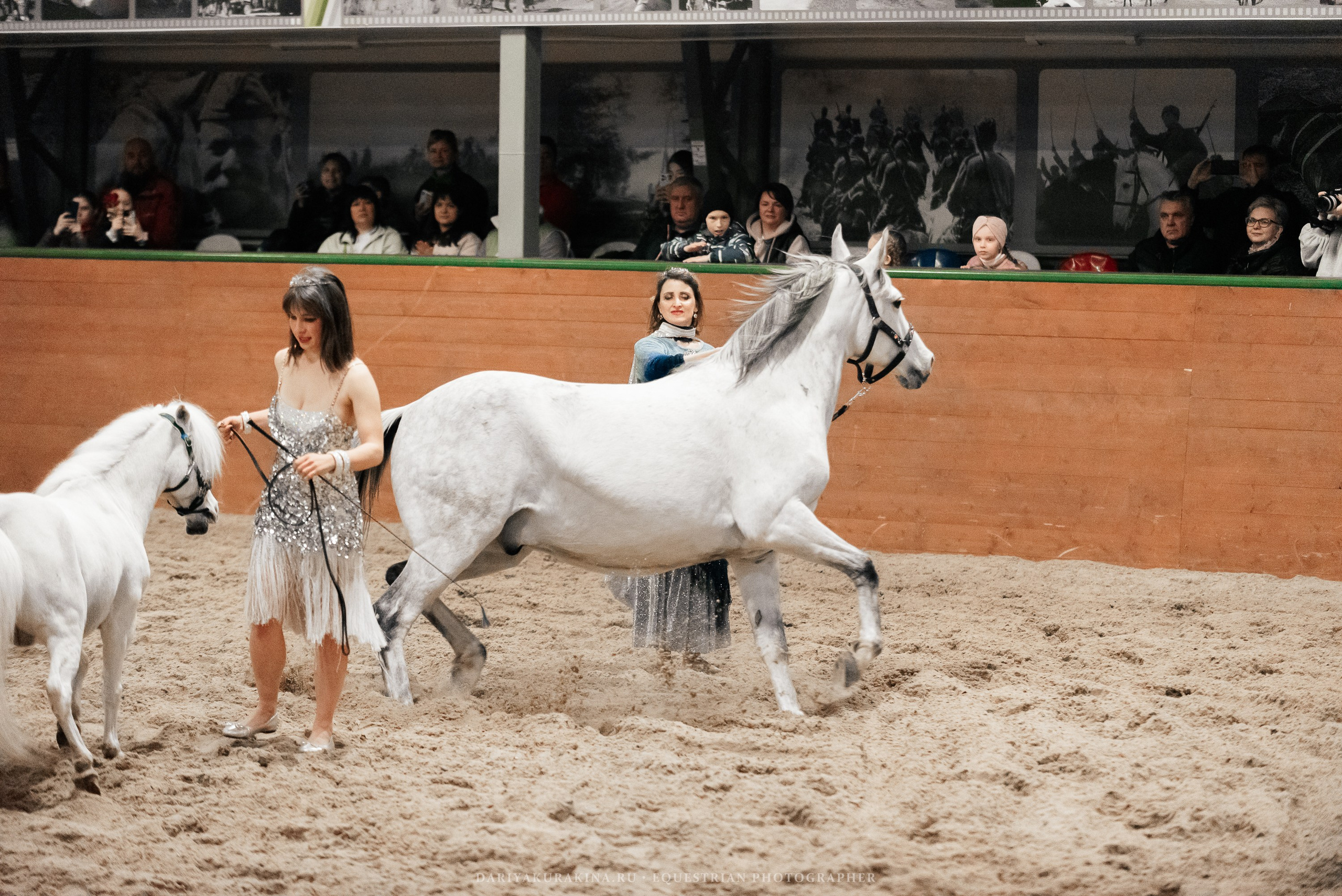 Конное представление «Дыхание Звёзд». Конный фотограф Куракина Дарья • Фотосессии с лошадьми