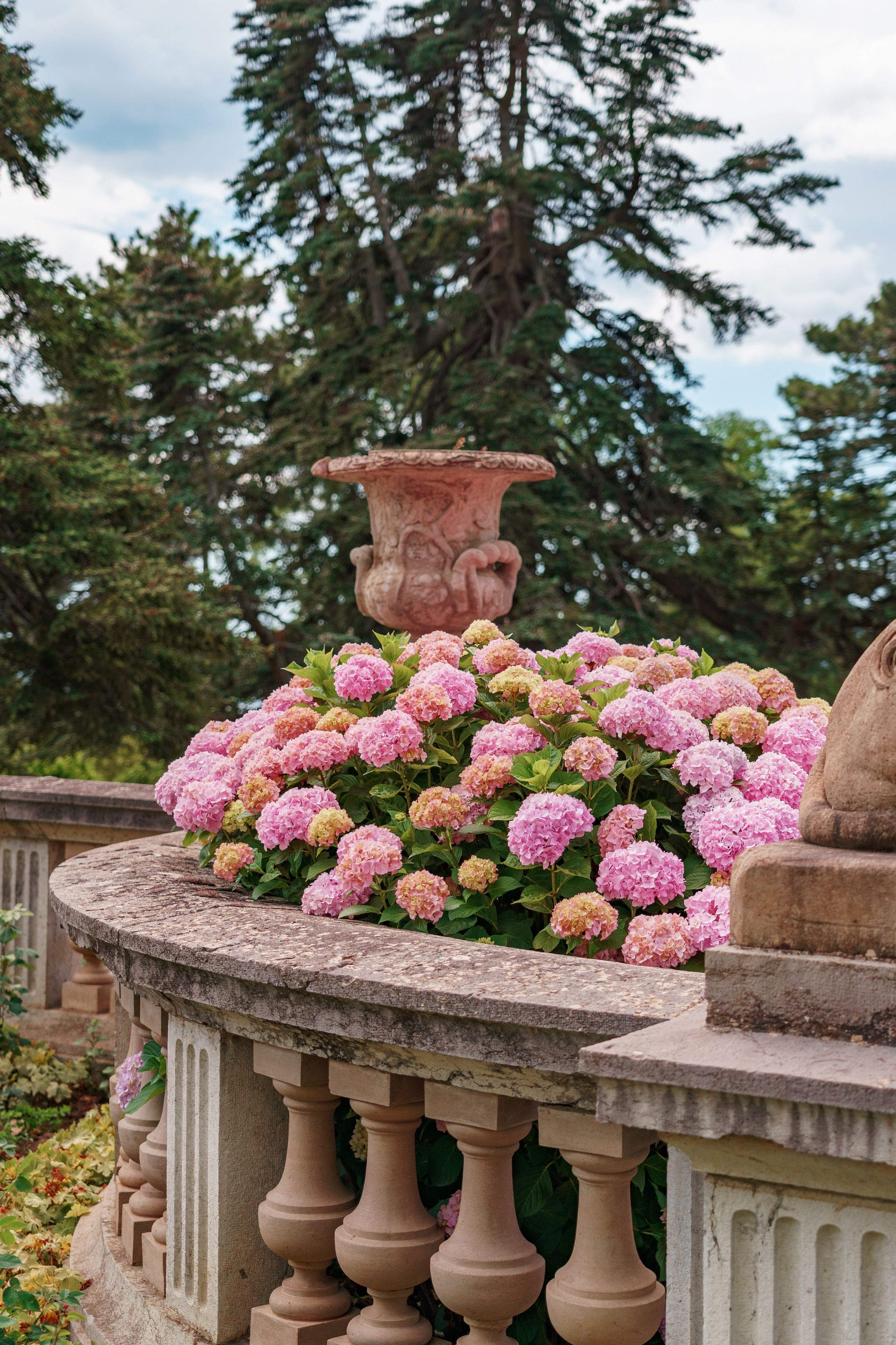 Алупкинский дворцово-парковый музей-заповедник, Республика Крым. Репортажный фотограф в Крыму Ксения Гасица