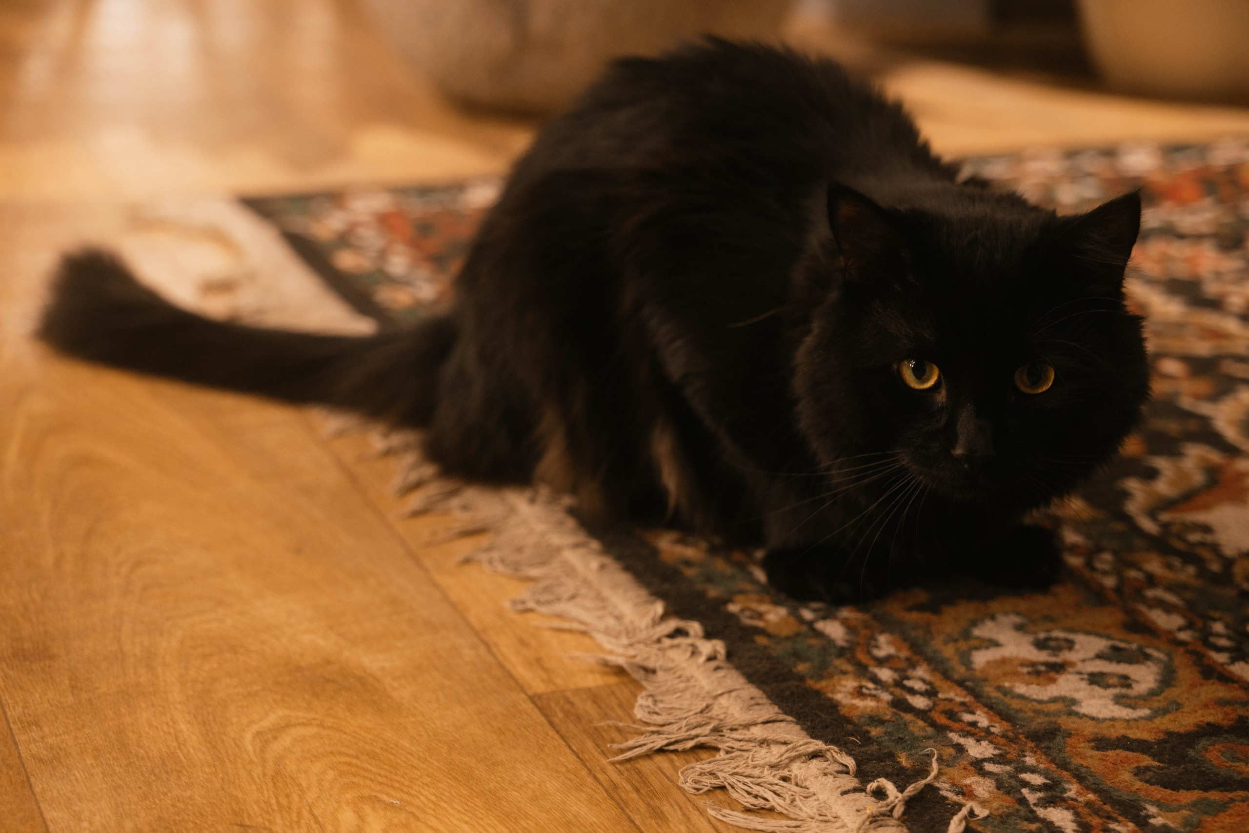 Мастер-класс по рисованию на день рождения. Свадебный, семейный фотограф в Рязани Лена Брант