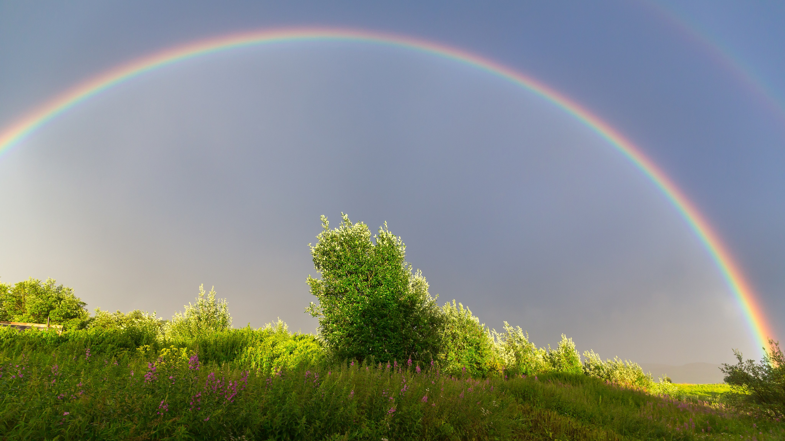 Солнечные ночи Крайнего Севера. Пейзажи Крайнего Севера. Баренцево море, Рыбачий, Средний, Немецкий