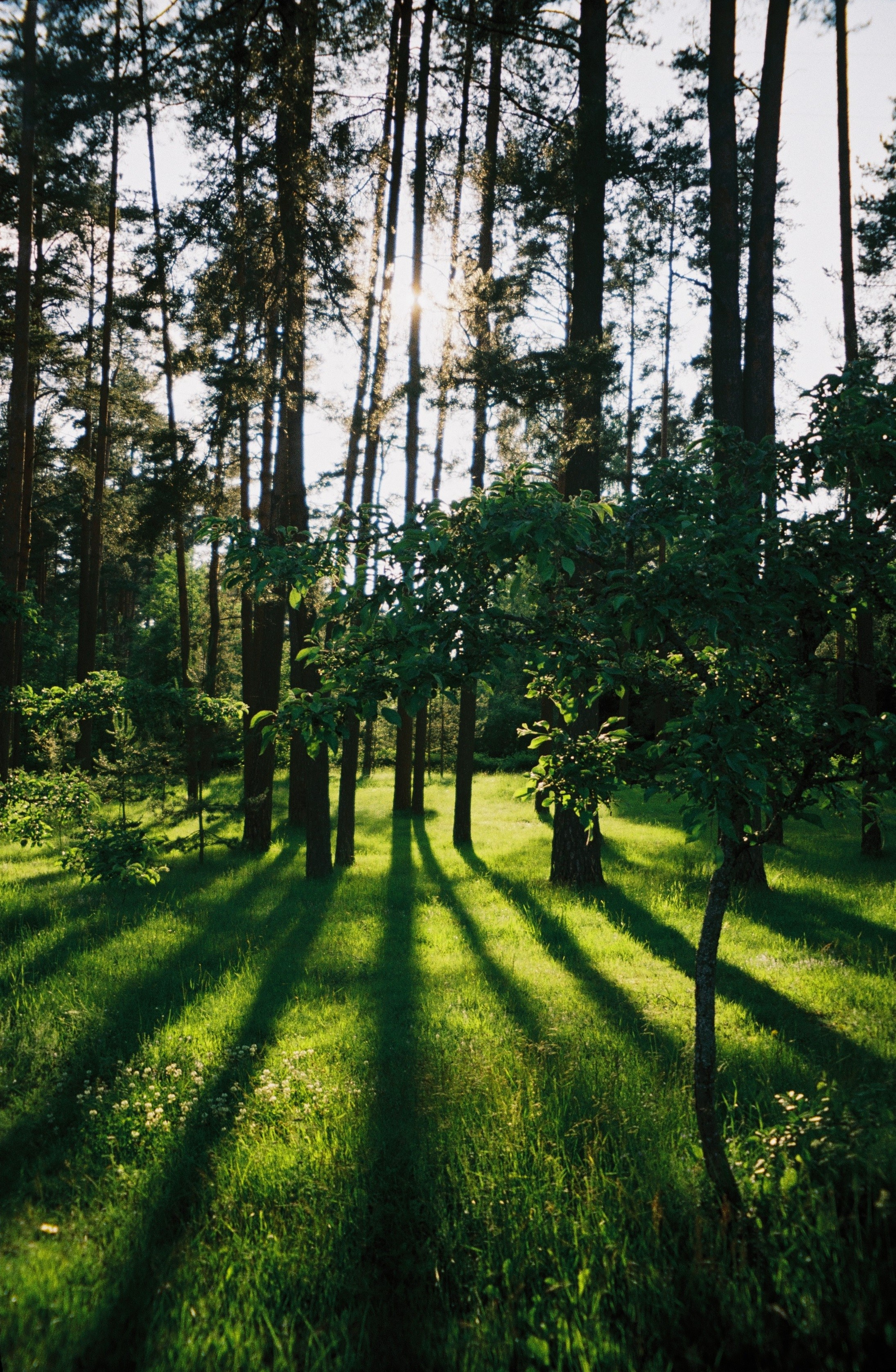 Портфолио. Фотограф Москва | Anastasia Permyakova