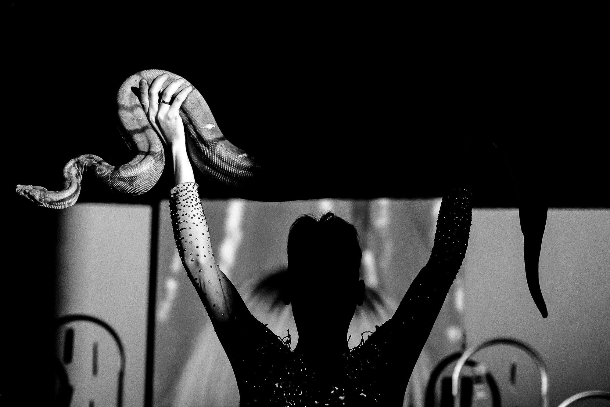 Съёмка вечеринки в Пензе. VERSLIBRE | Свадебный и репортажный фотограф в Санкт-Петербурге