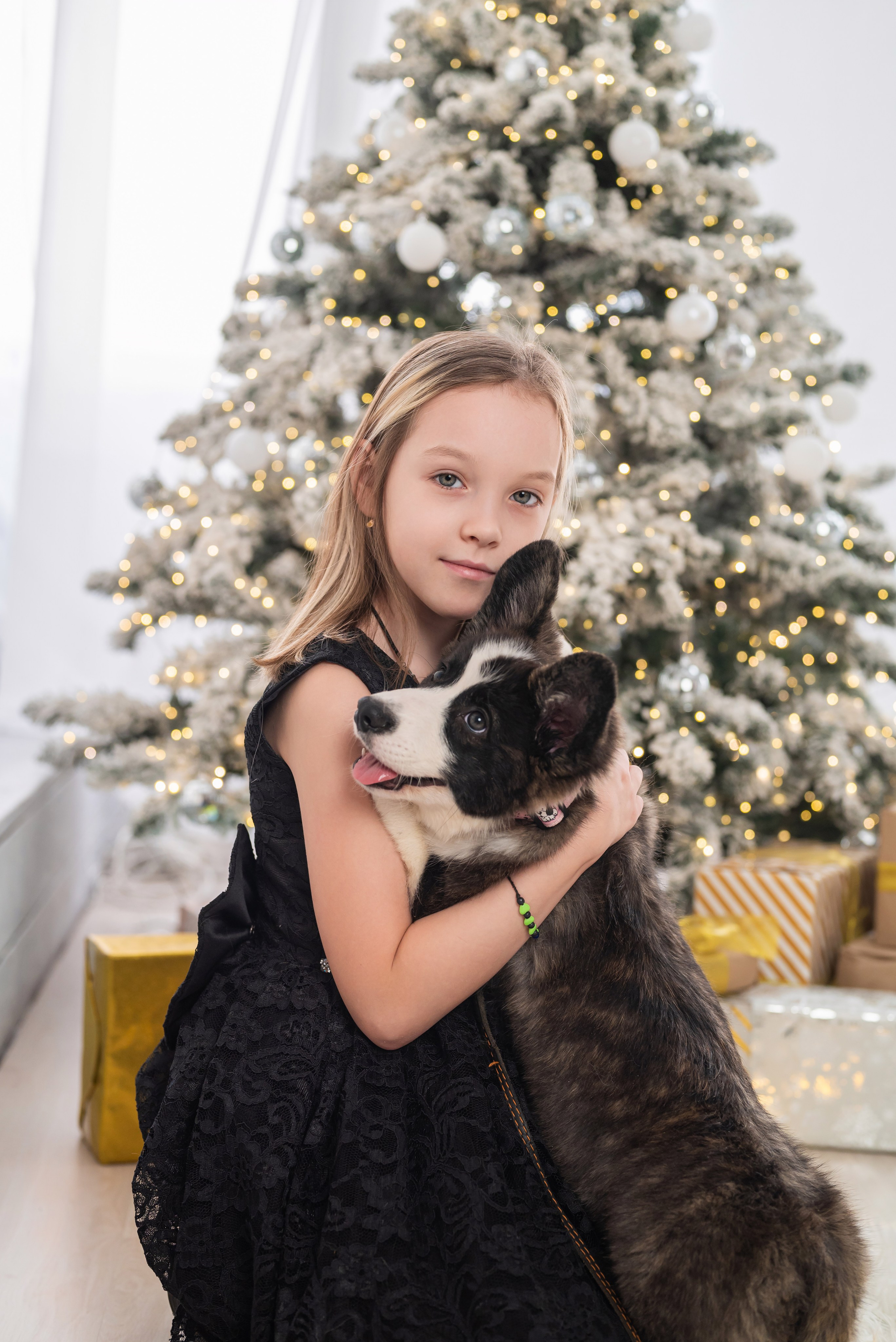 Фотопроект с корги. Фотограф в городе Салават