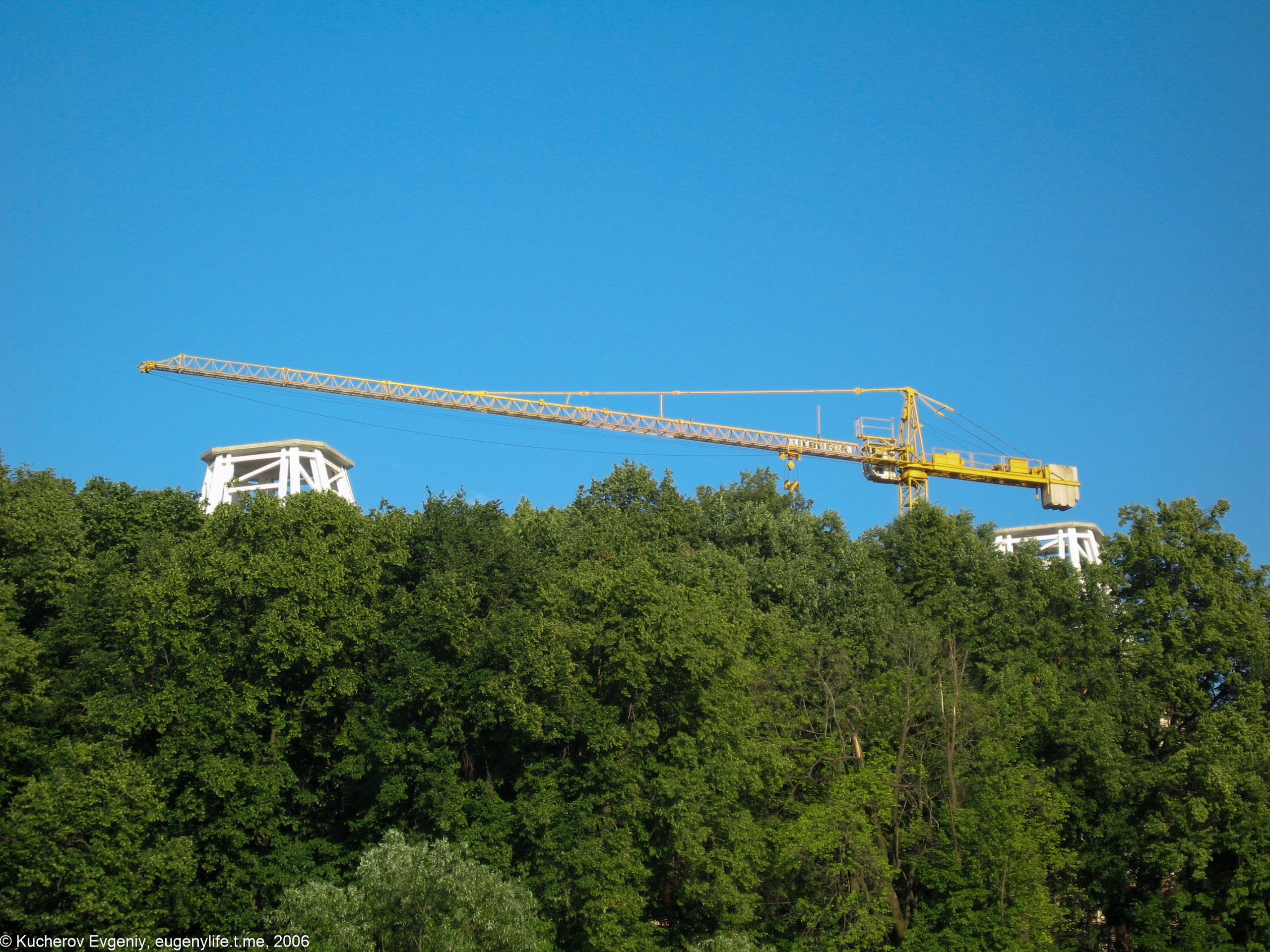 Июль 2006. Царицыно. Кучеров Евгений. Фотограф