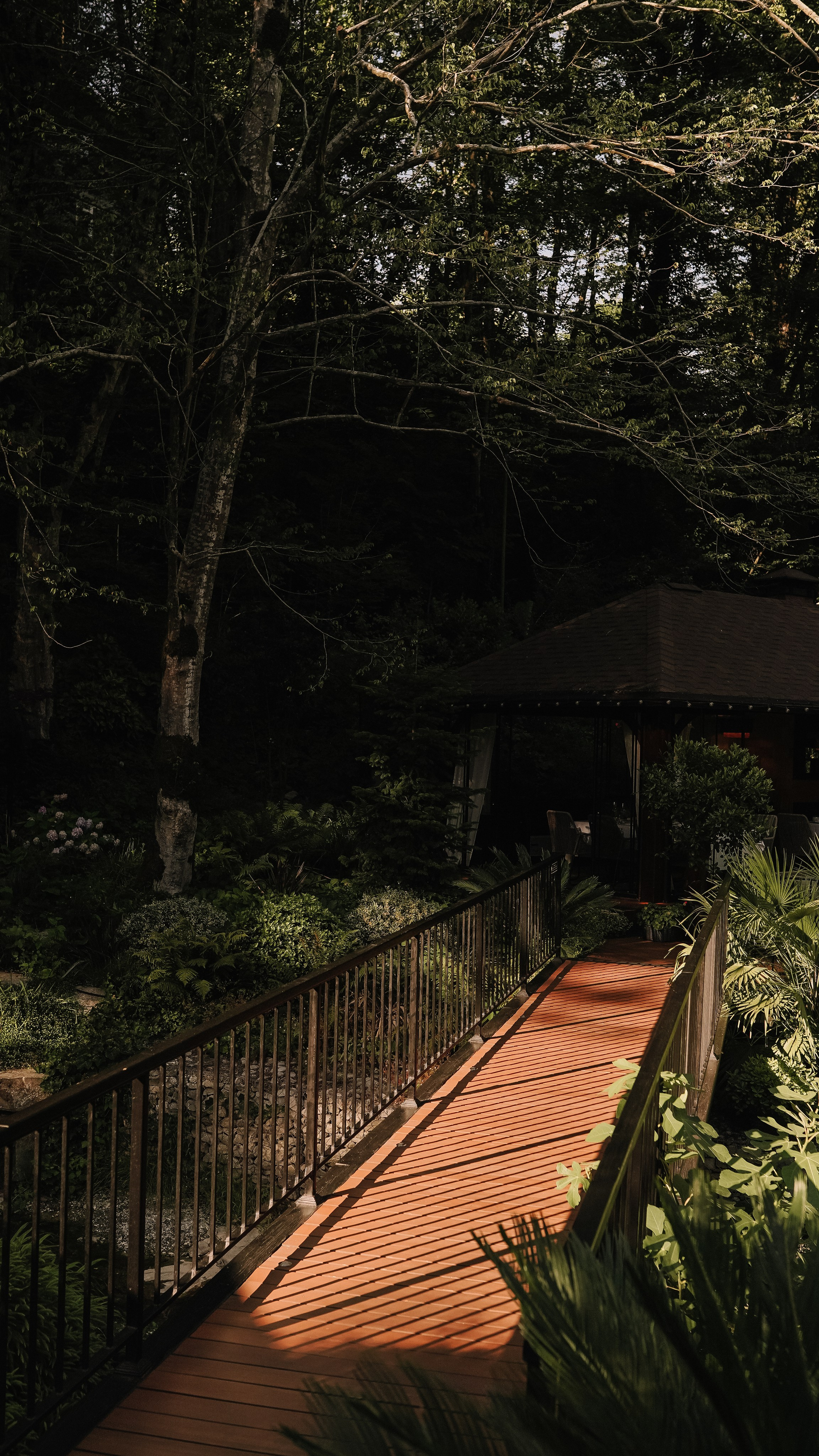 Мамай-Кале — Ресторан в лесу. Милана Довгаль - семейный фотограф и видеограф  в Адлере и Сочи