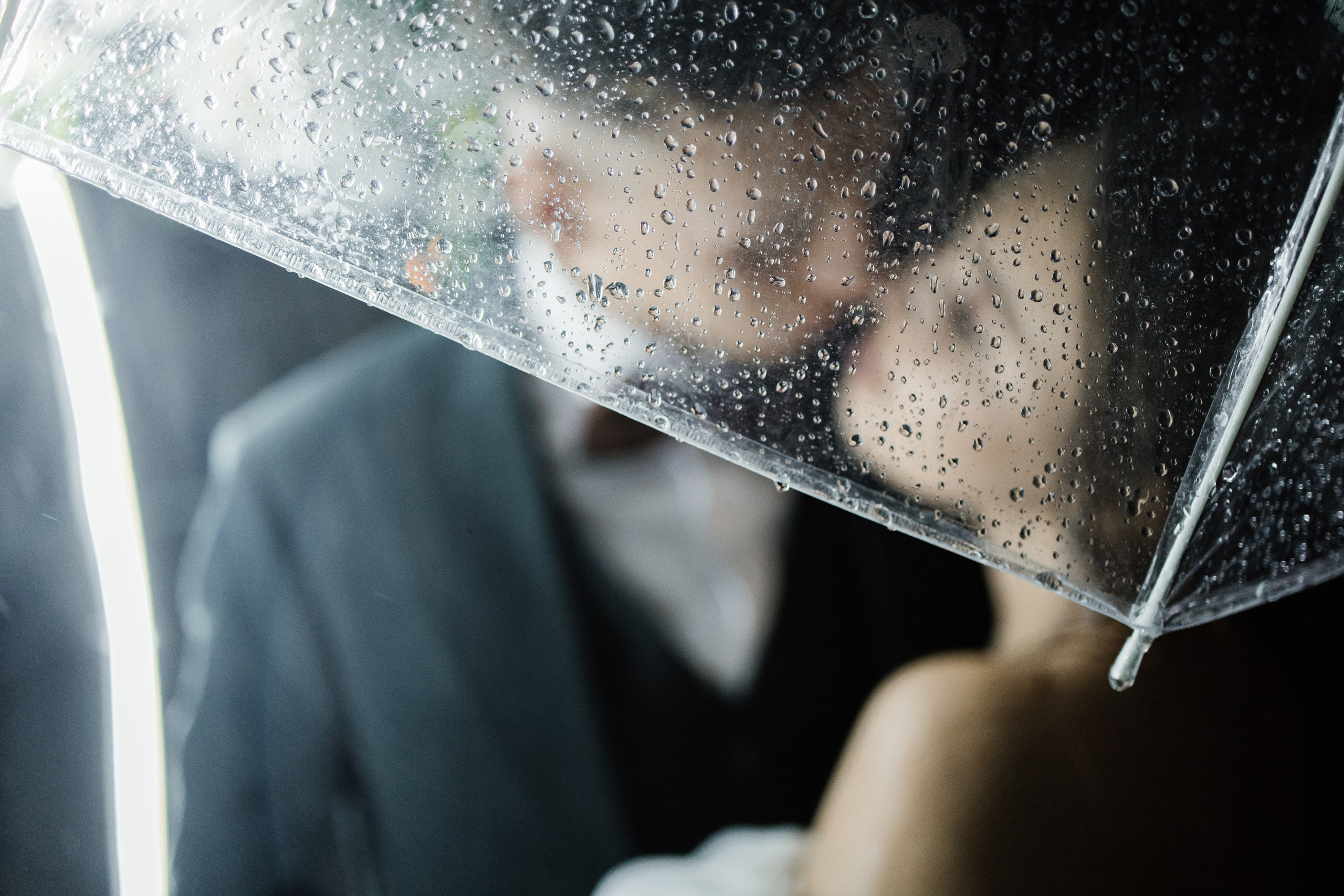 Свадьба в ХВОЕ. Свадебный  фотограф Новосибирск