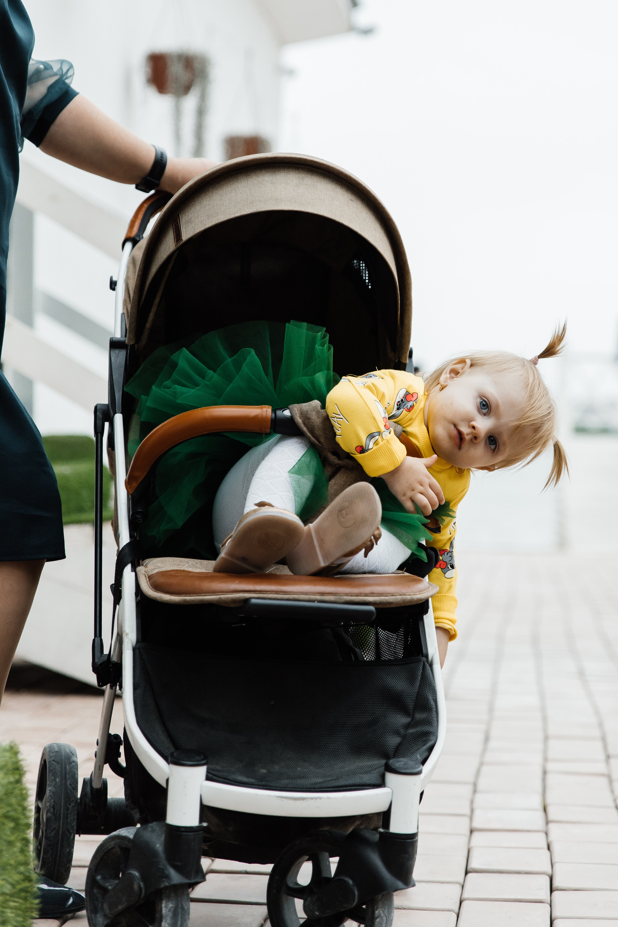Свадьба в ХВОЕ. Свадебный  фотограф Новосибирск
