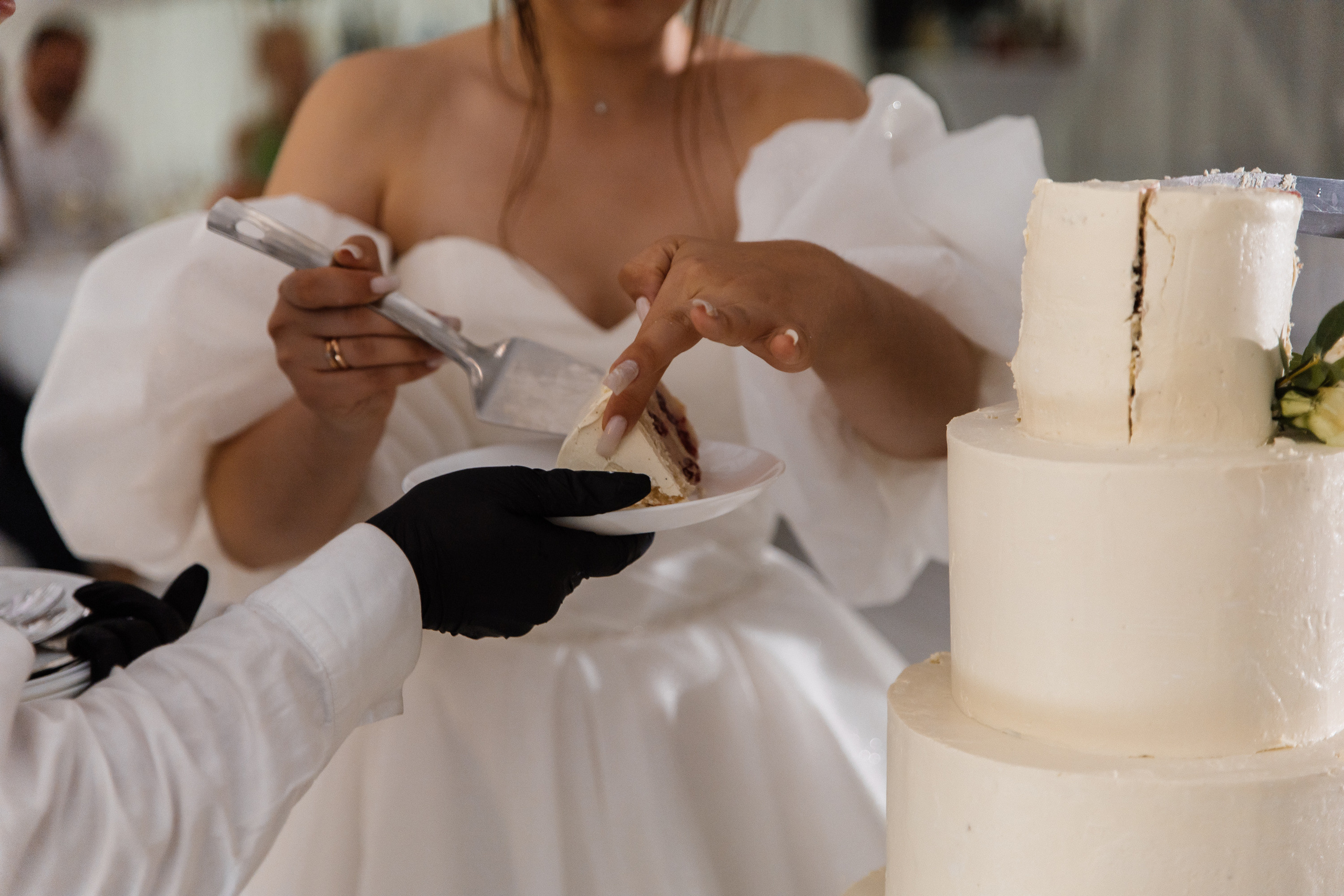 Свадьба в ХВОЕ. Свадебный  фотограф Новосибирск