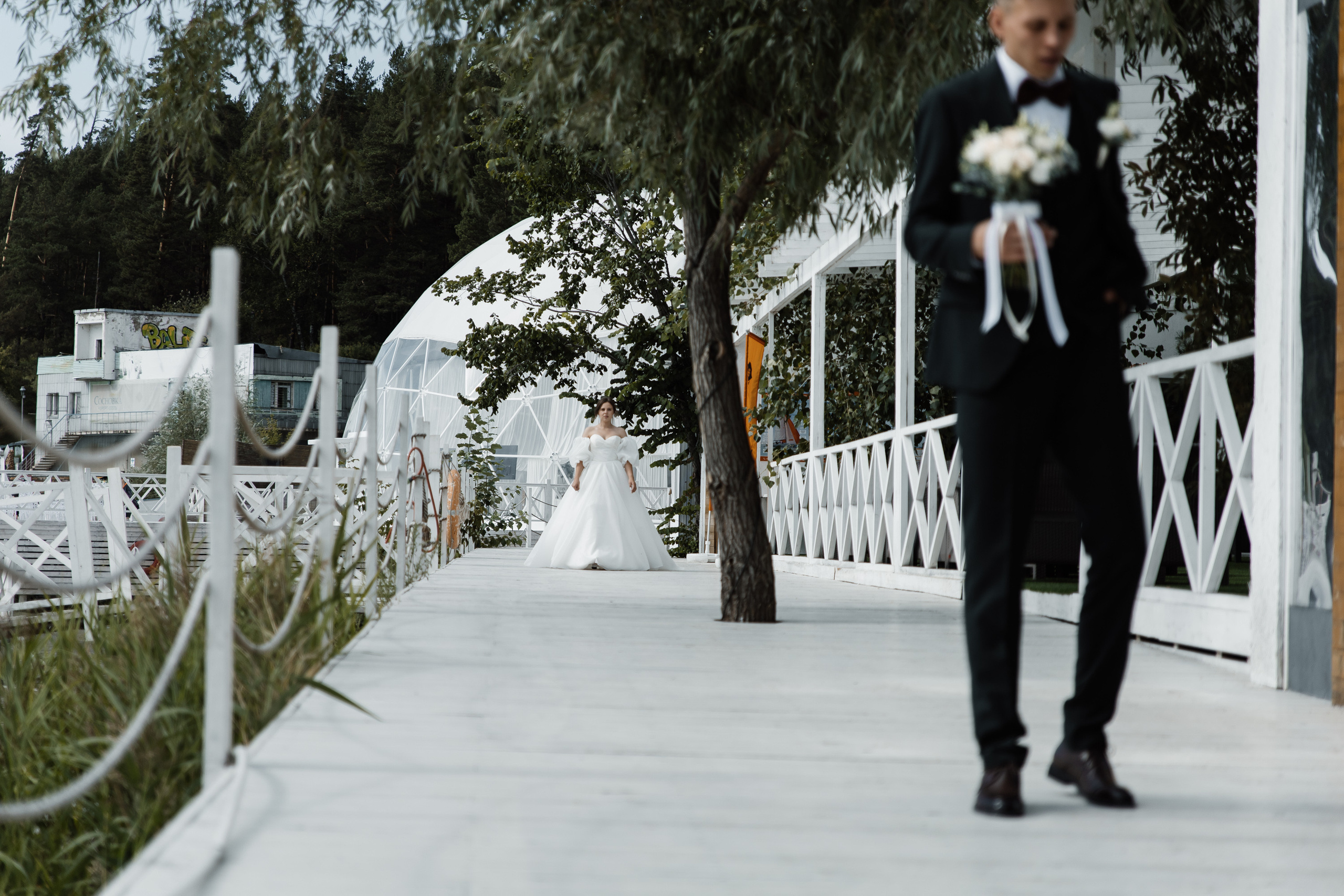 Свадьба в ХВОЕ. Свадебный  фотограф Новосибирск