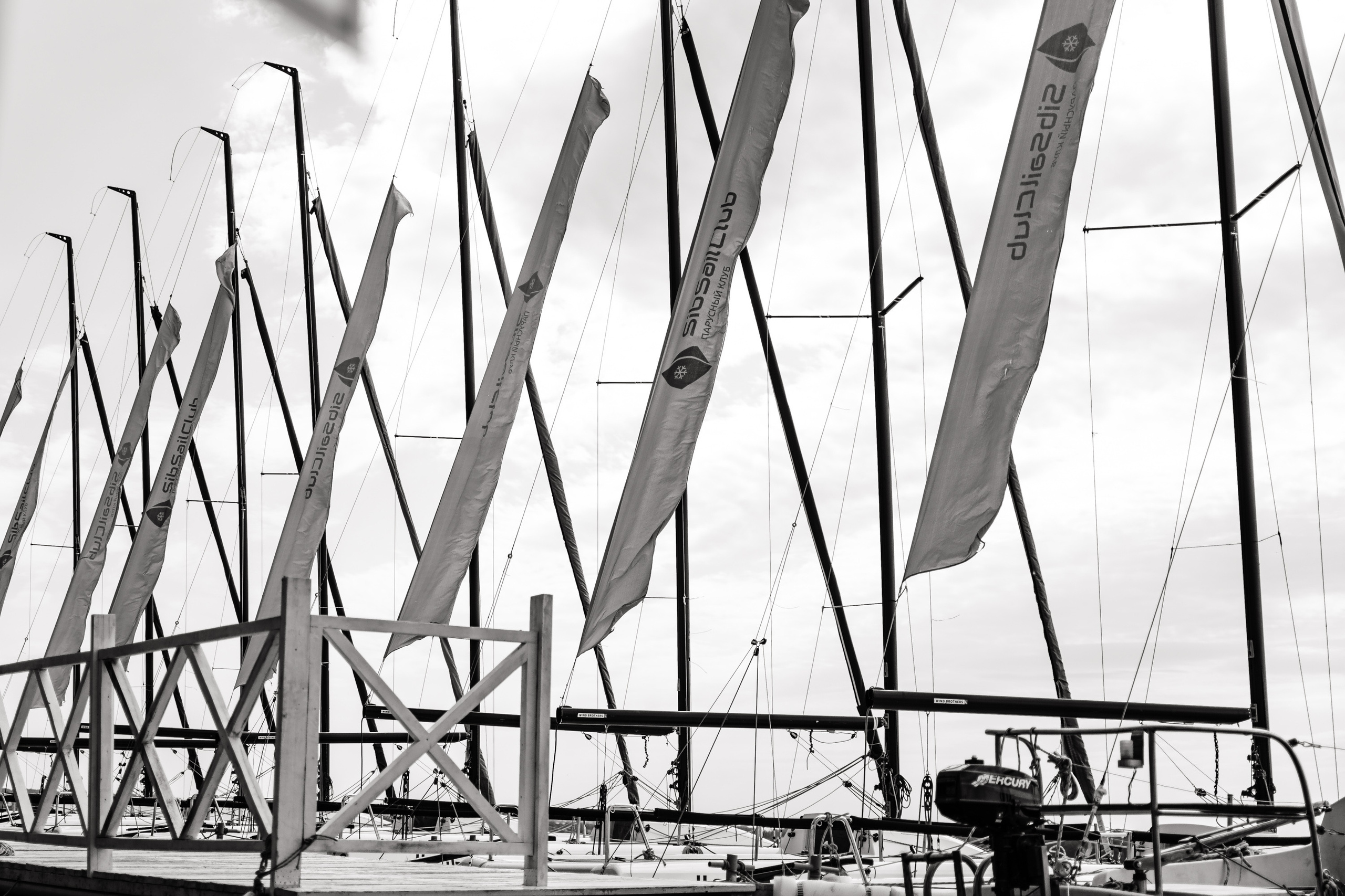 Свадьба в ХВОЕ. Свадебный  фотограф Новосибирск