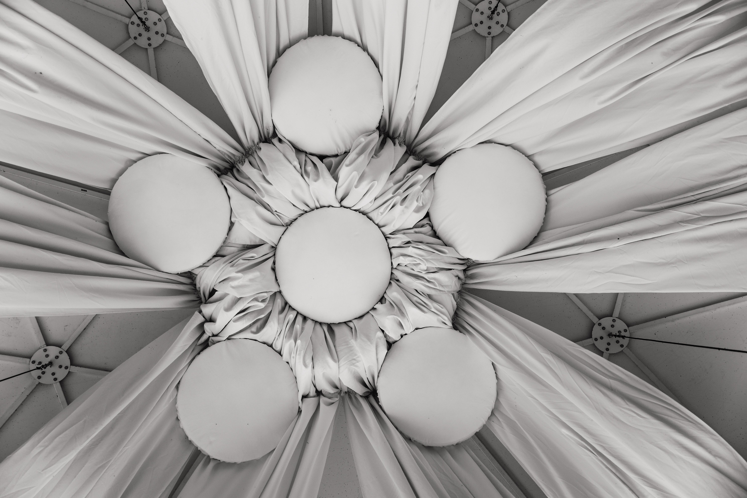 Свадьба в ХВОЕ. Свадебный  фотограф Новосибирск