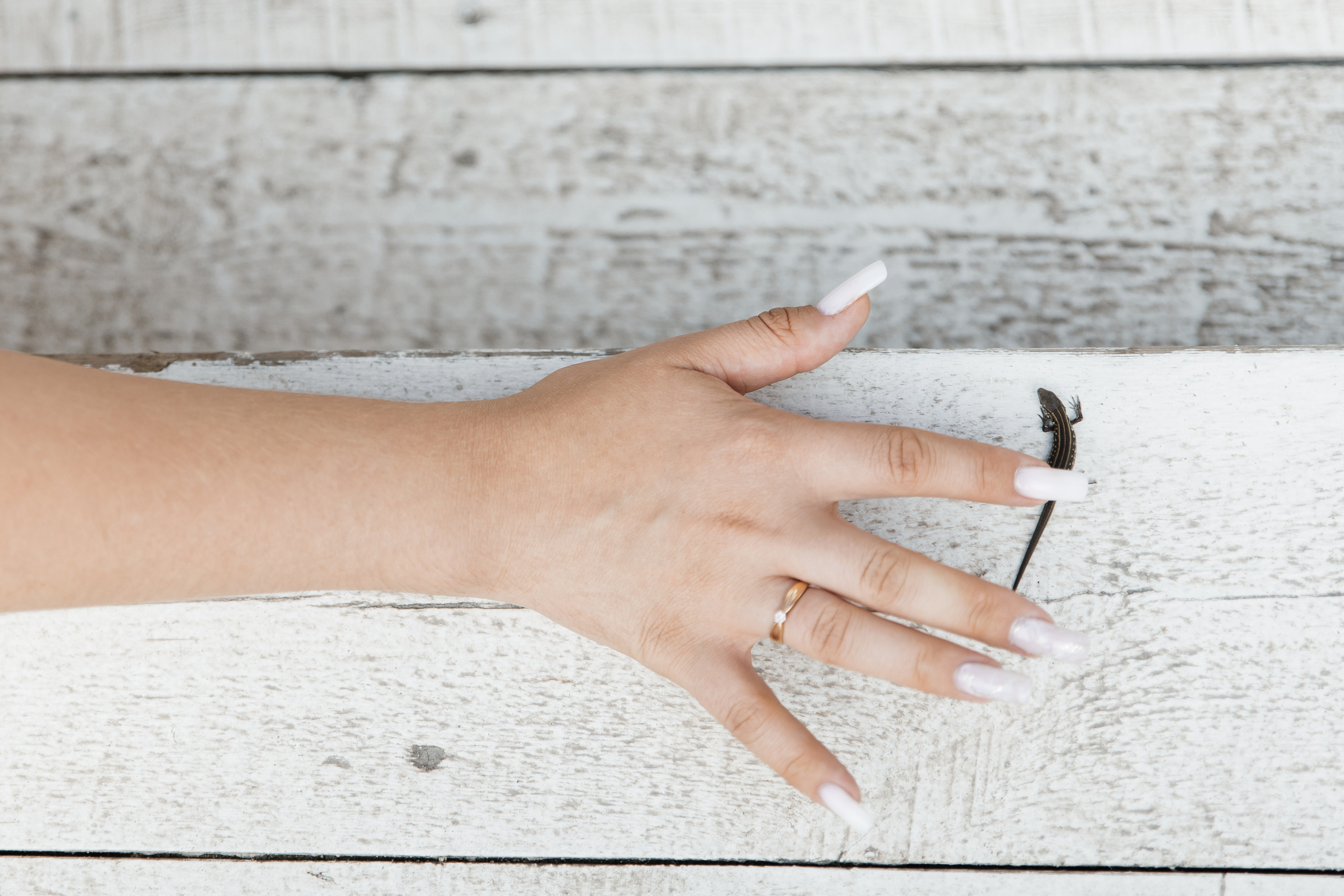 Свадьба в ХВОЕ. Свадебный  фотограф Новосибирск