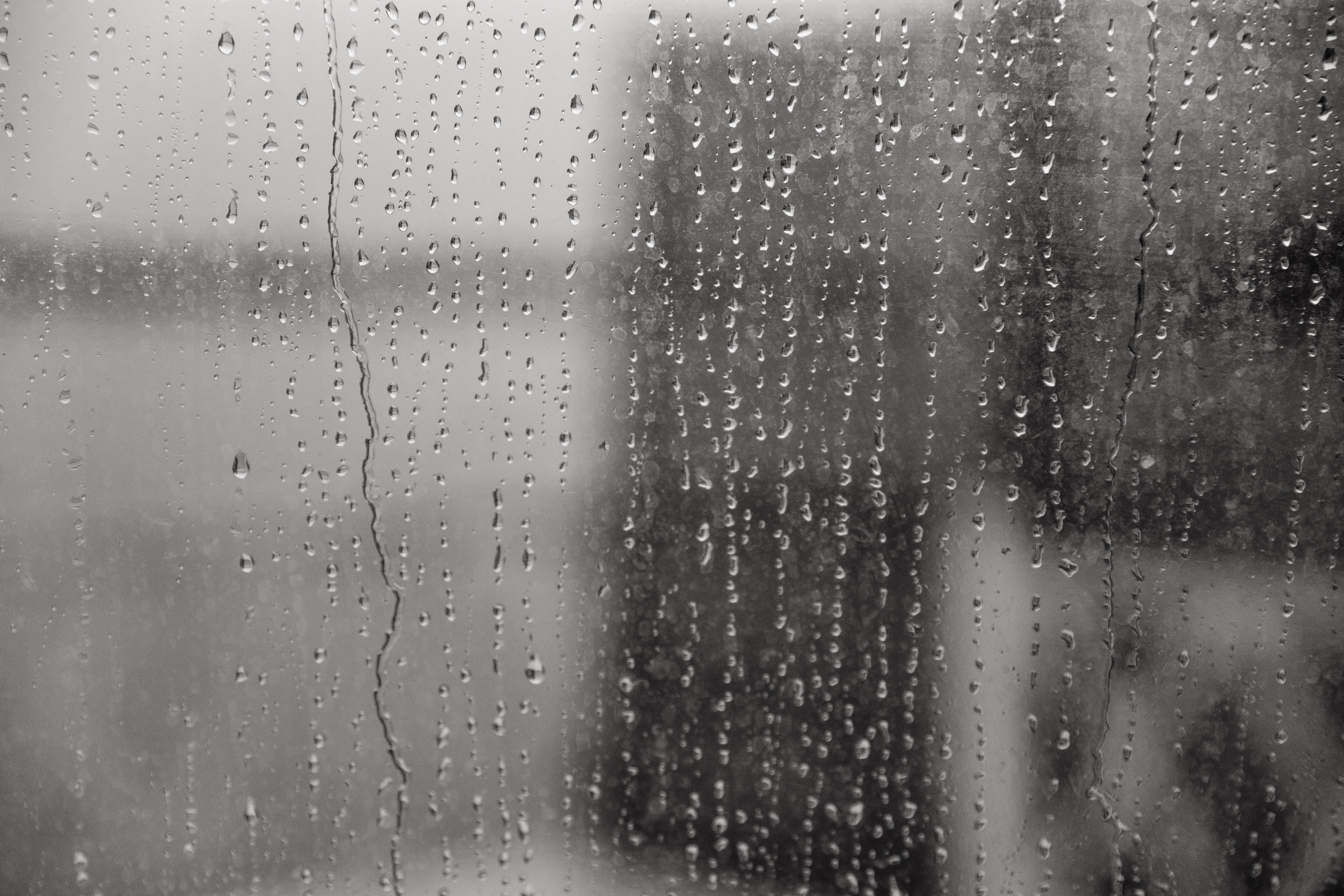 Свадьба в ХВОЕ. Свадебный  фотограф Новосибирск