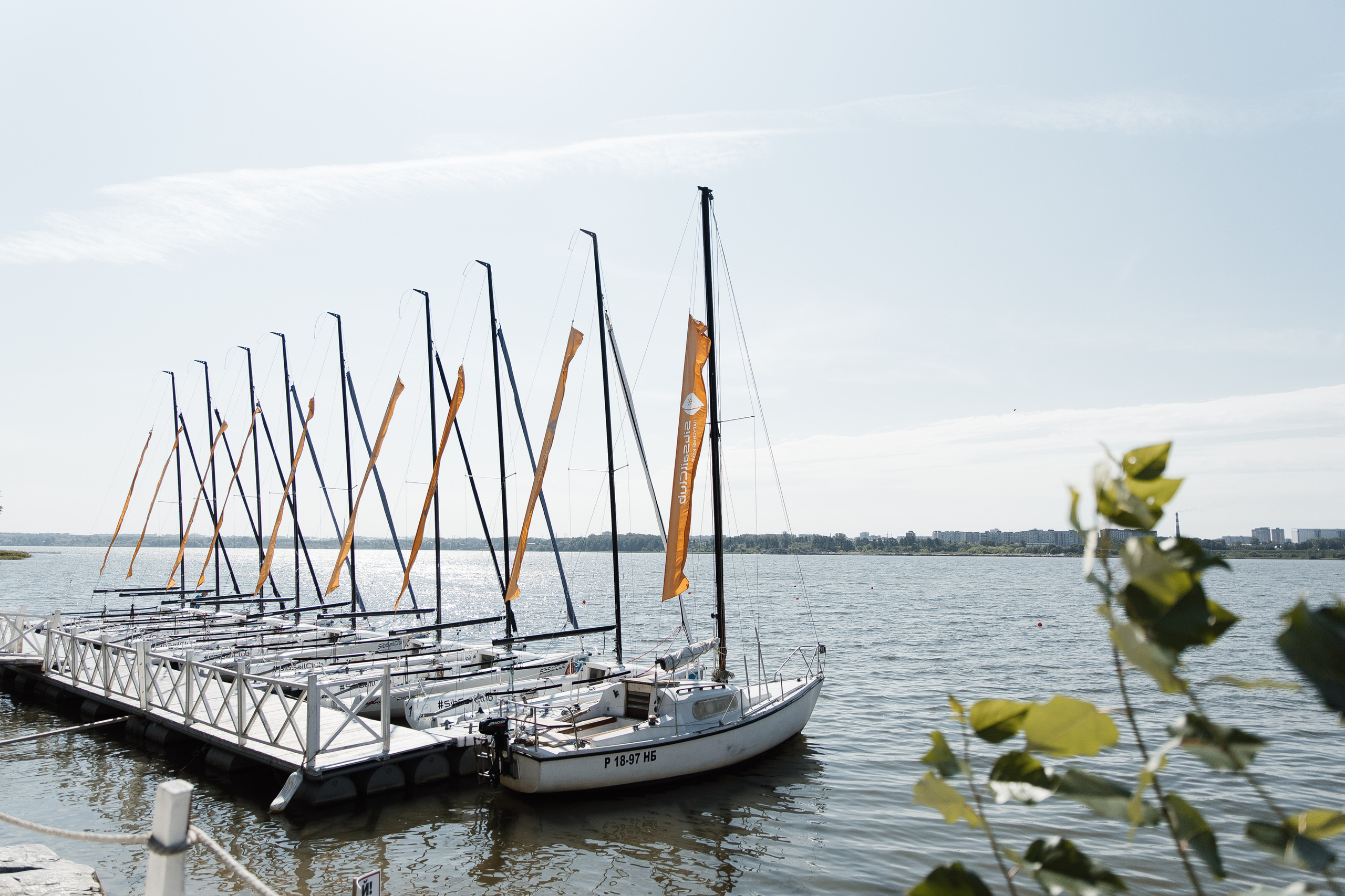 Свадьба в ХВОЕ. Свадебный  фотограф Новосибирск