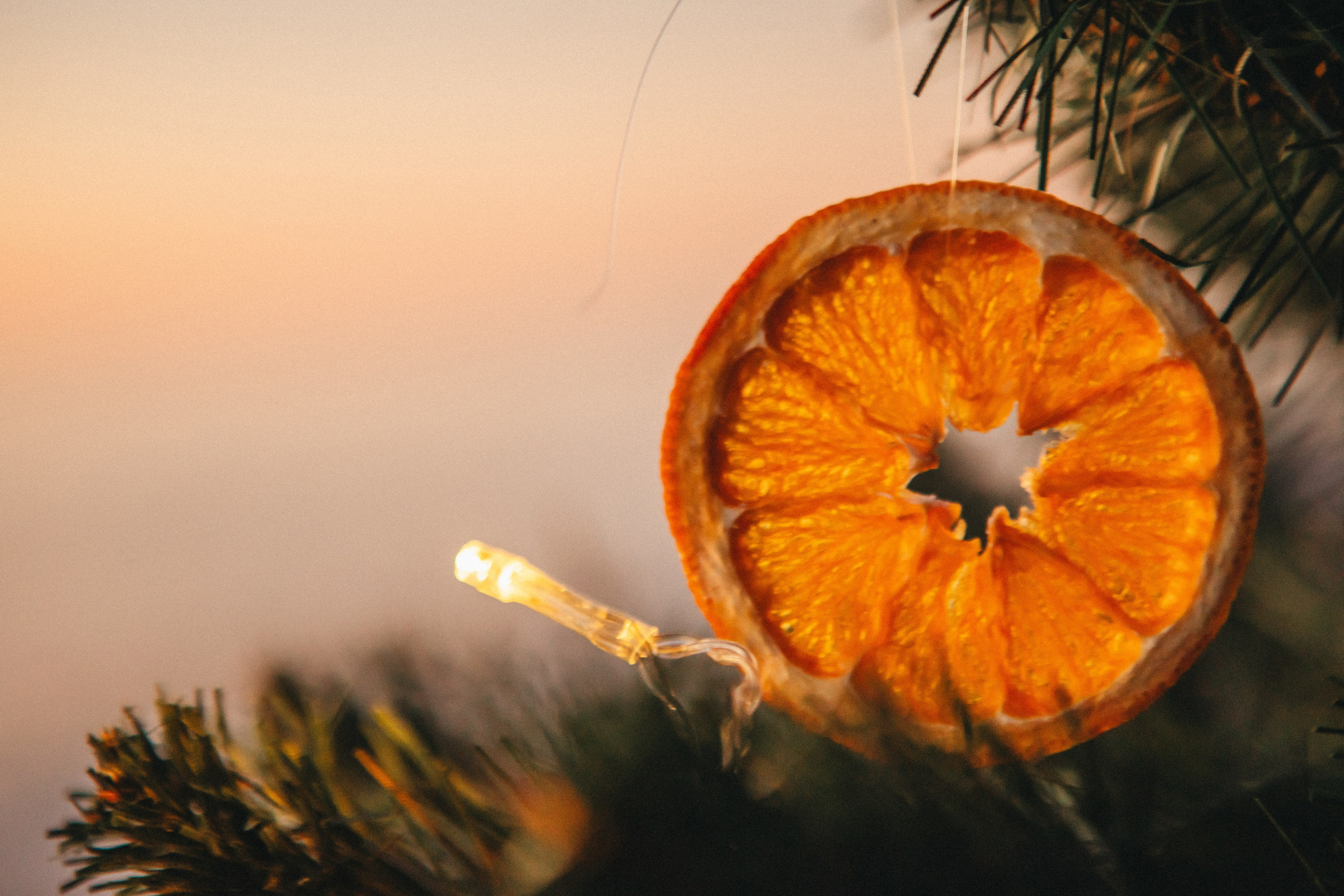 Новый год на море. Семейный и свадебный фотограф Сочи Адлер Сириус Красная поляна
