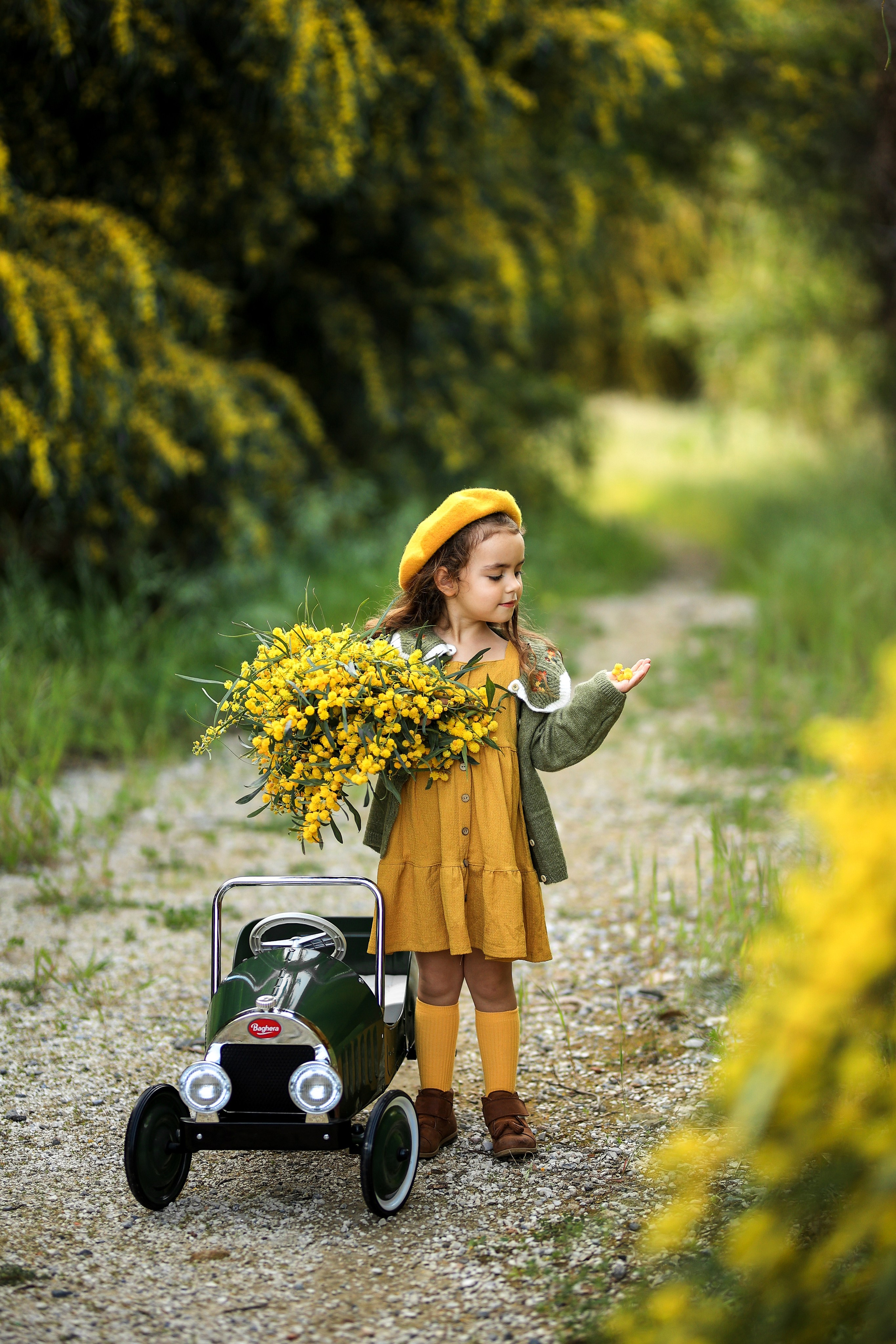 Photoshooting in mimosa
