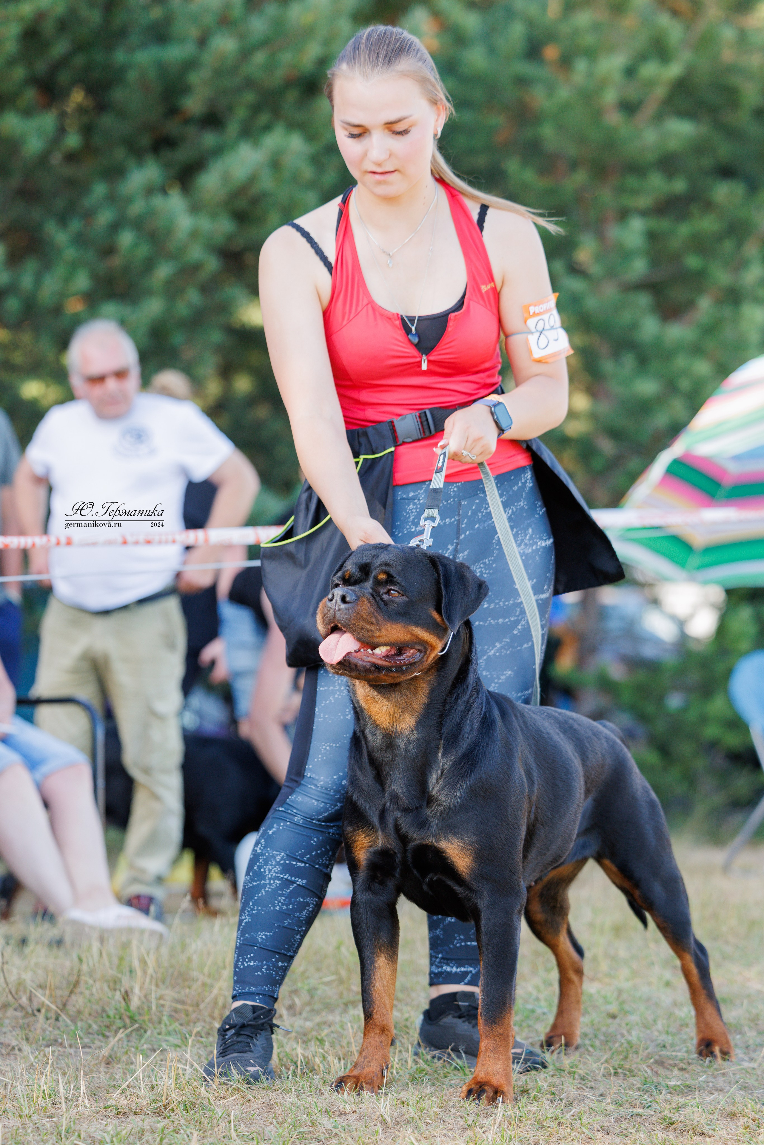 ПК и КЧК ротвейлеры Тверь 6-7.07.2024. Фотограф-анималист Юлия Германика