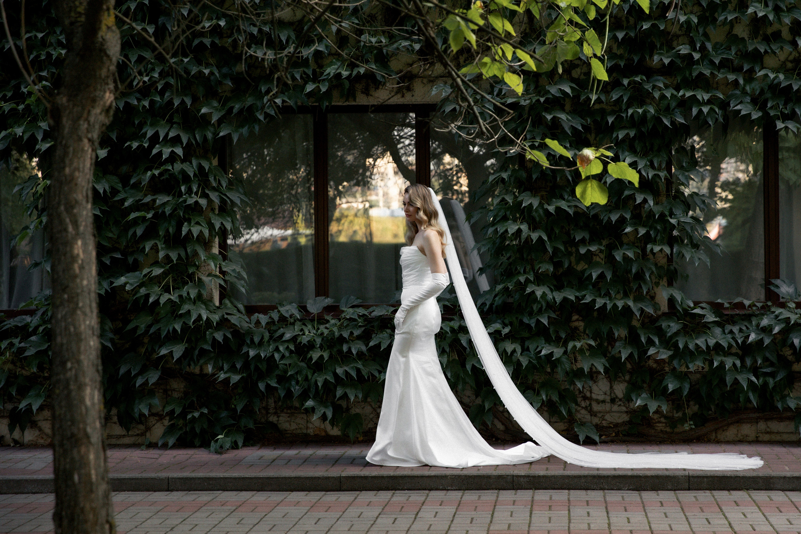 Элегантность. Фотограф Яна Белая