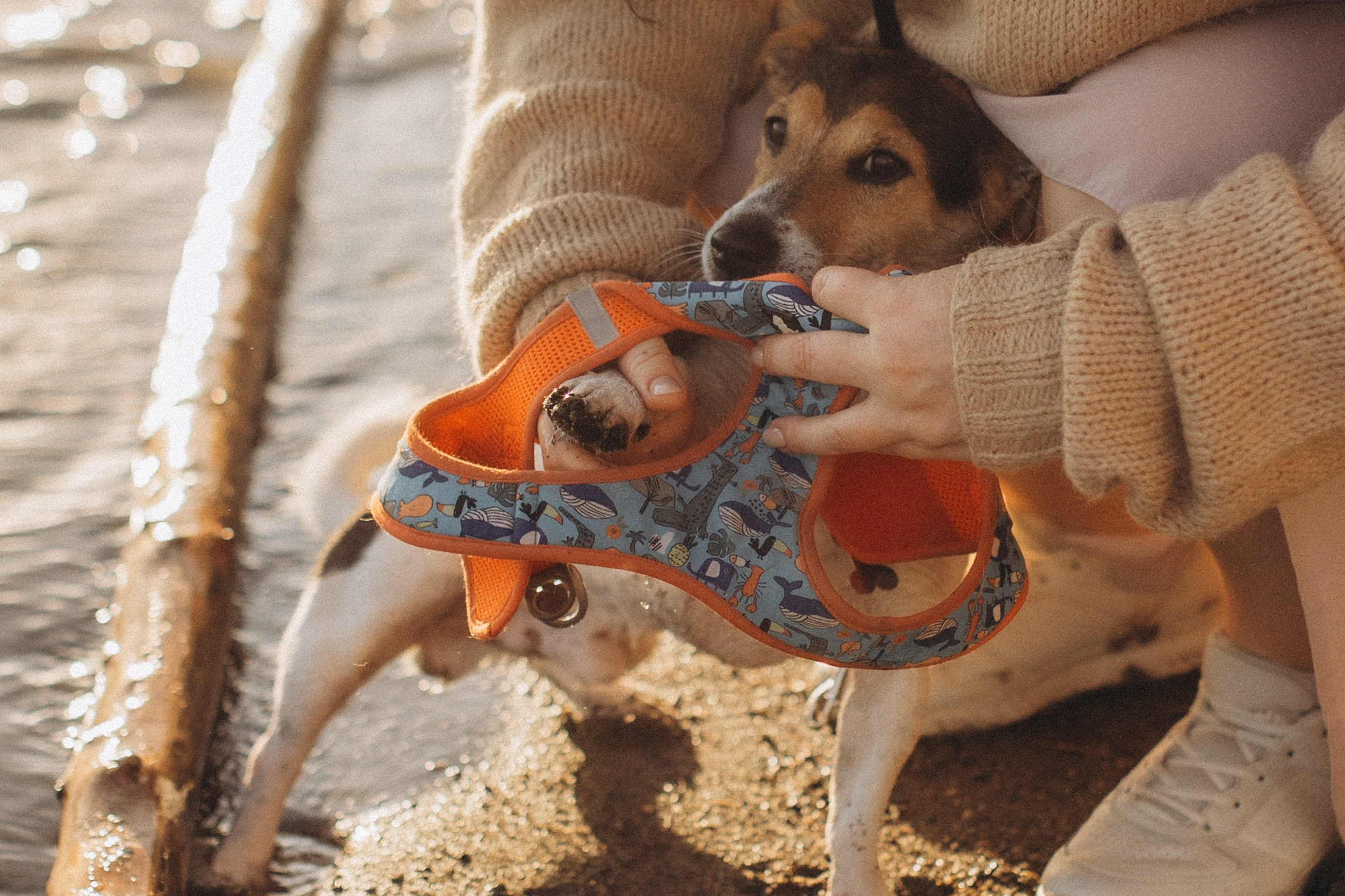 Юля, Милана, Тимур и Добби, осенняя история. Семейный фотограф lifestyle в Новосибирске Елена Шпилевая