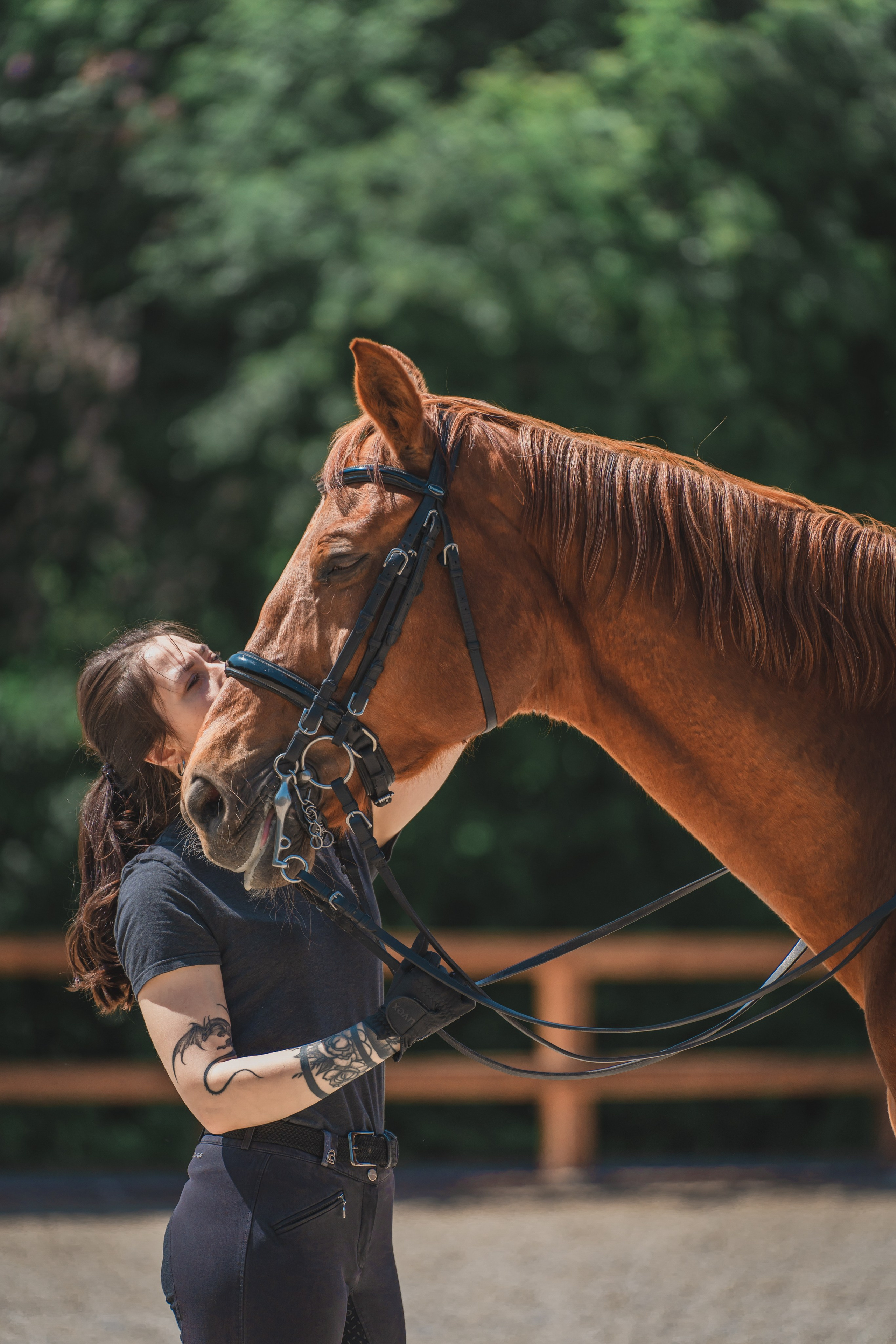 Валерия и Ланселот. Тренировка по выездке. КСК «Урожай». Фотограф в Москве Ленарская Дарья
