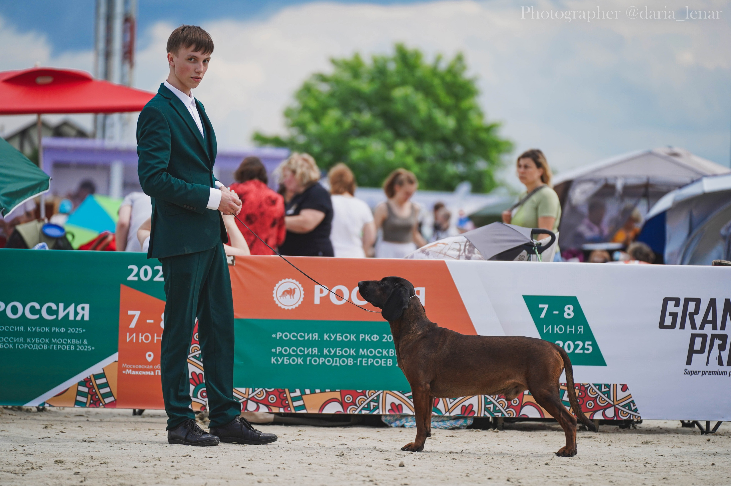 Выставки собак. Фотограф в Москве Ленарская Дарья