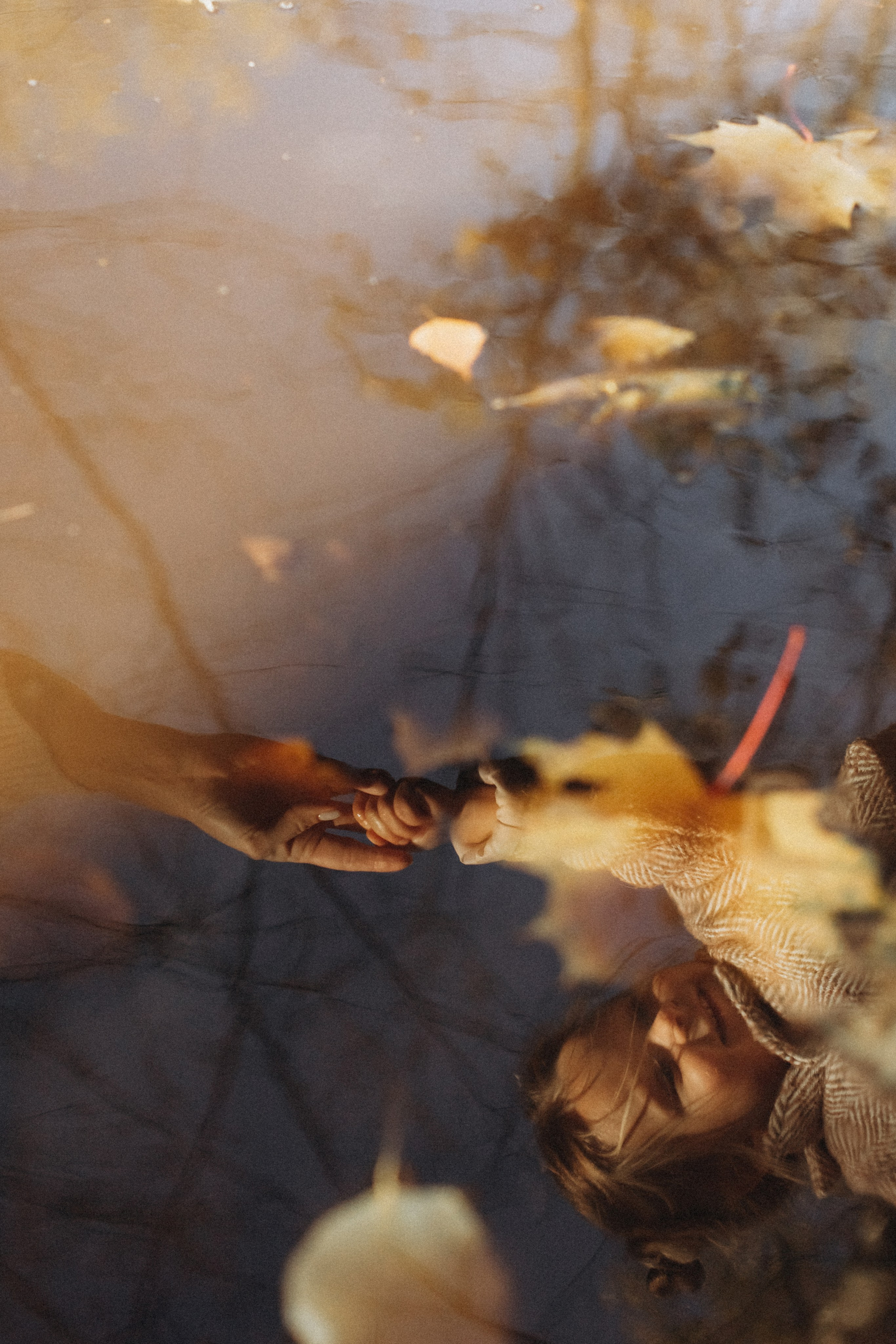 Никита Алеся Стеша. Семейный фотограф в Минске и РБ Стеликова Анна