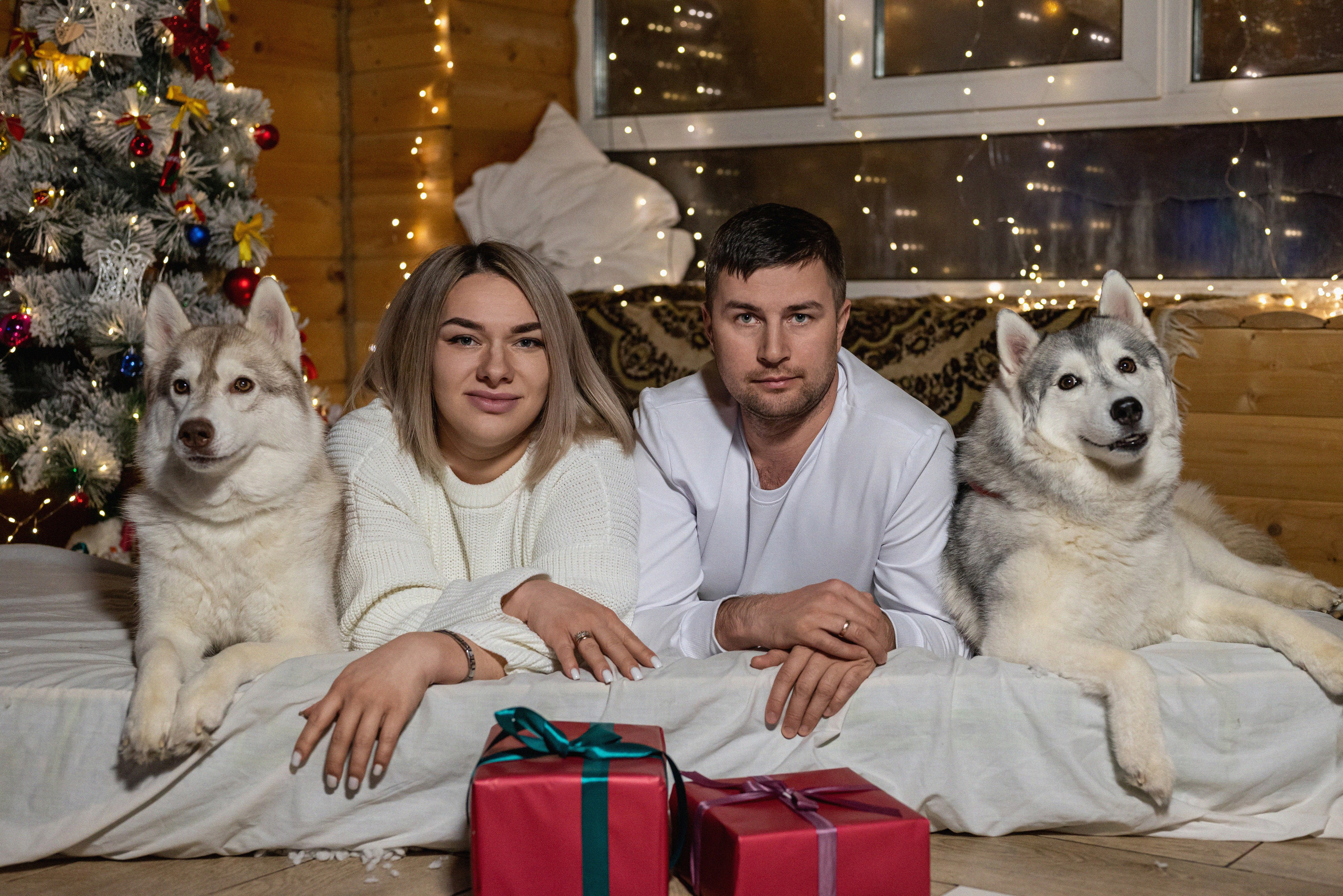 Фотопроект с хаски 2024 г. Фотограф в городе Салават