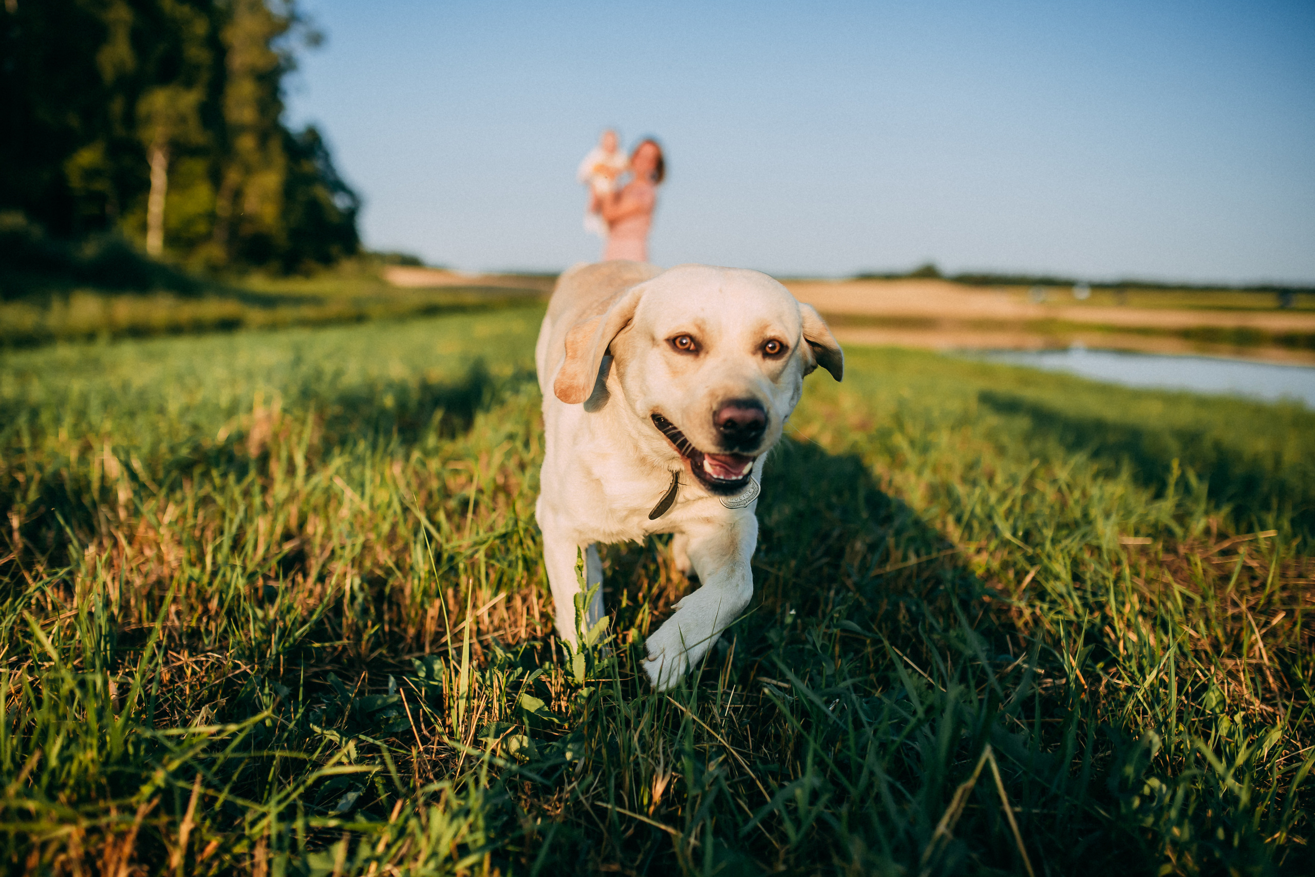 Поле. Свадебный и семейный фотограф Анастасия Меркуль