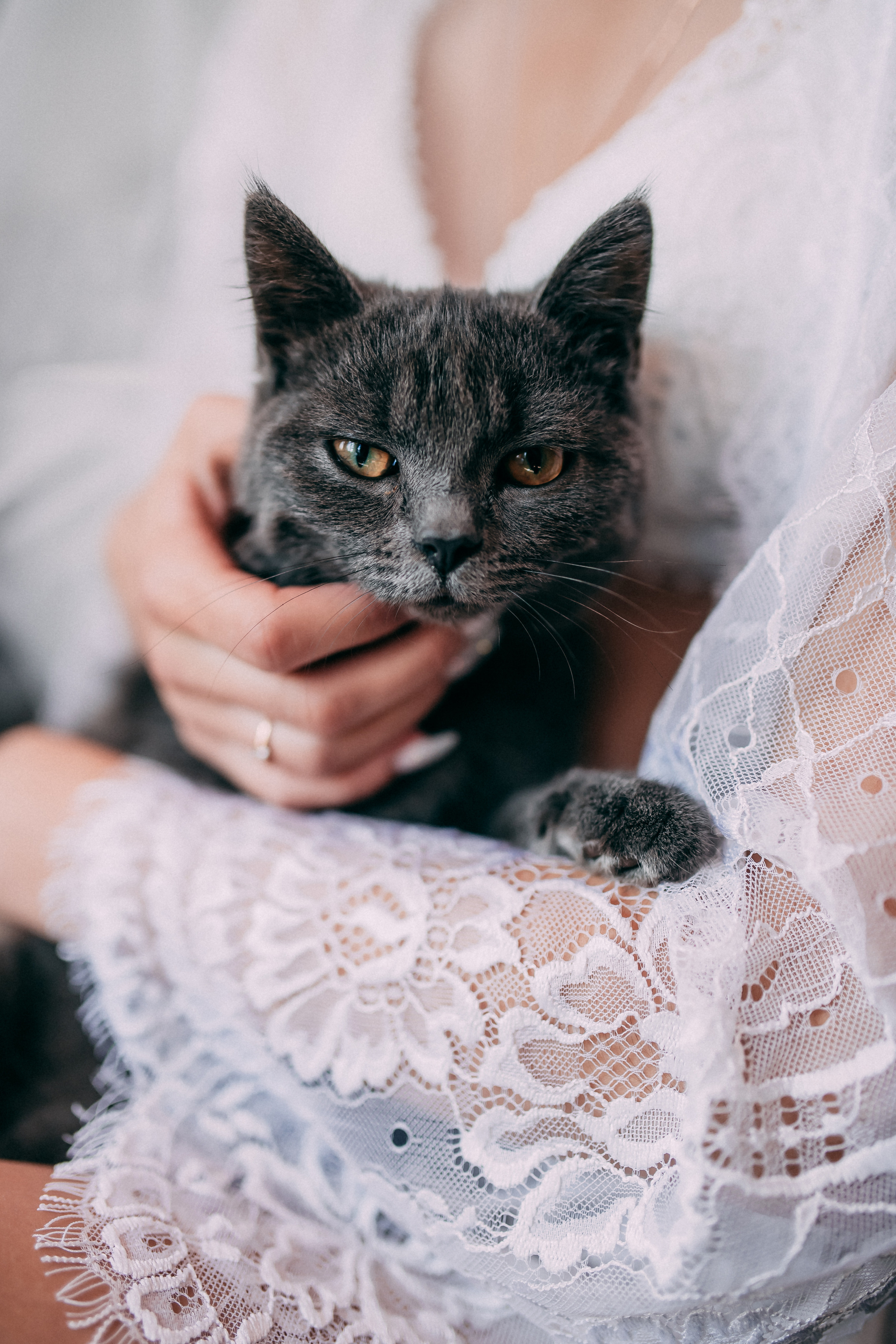 Юрий и Татьяна. Свадебный и семейный фотограф Анастасия Меркуль