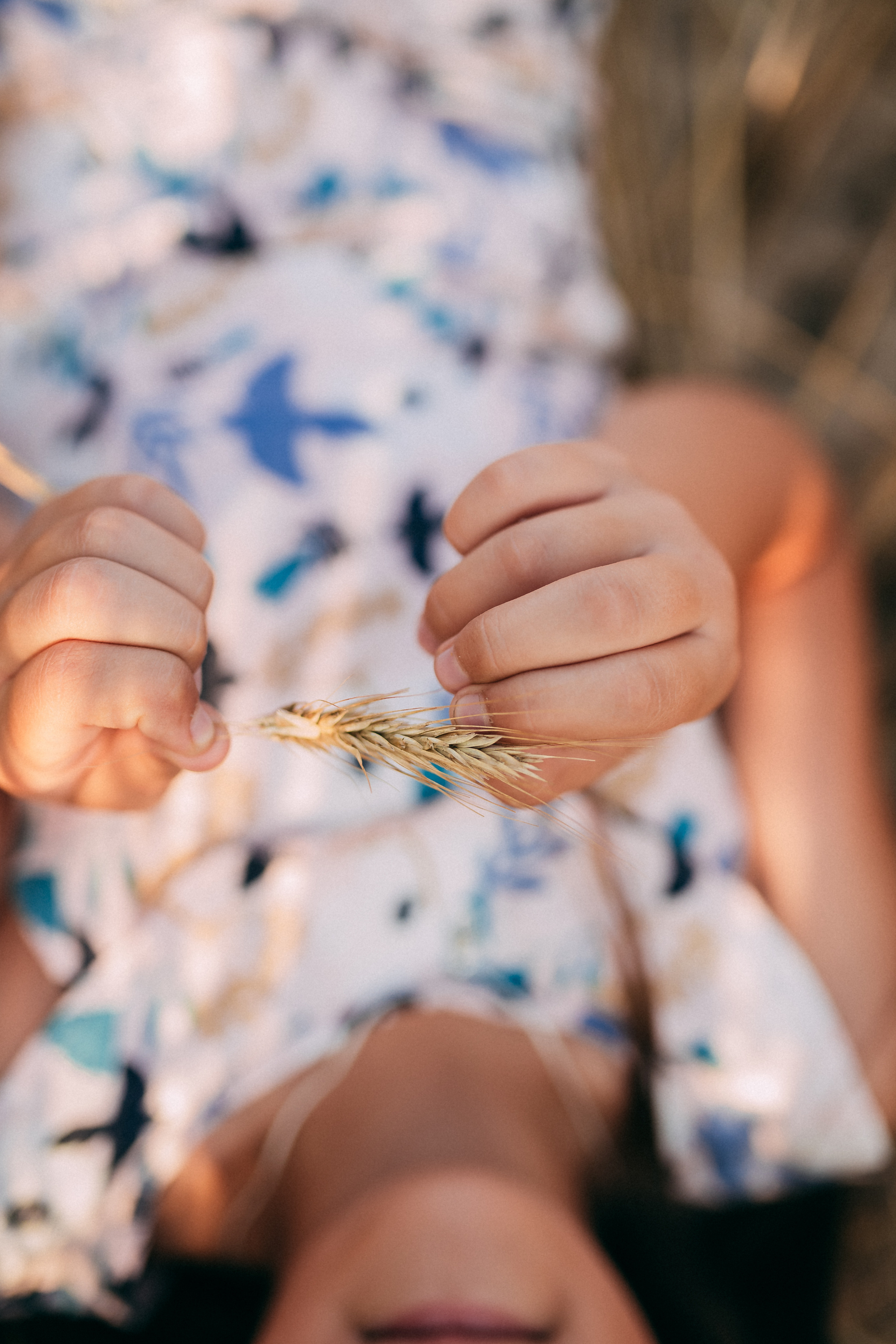 Поле. Свадебный и семейный фотограф Анастасия Меркуль