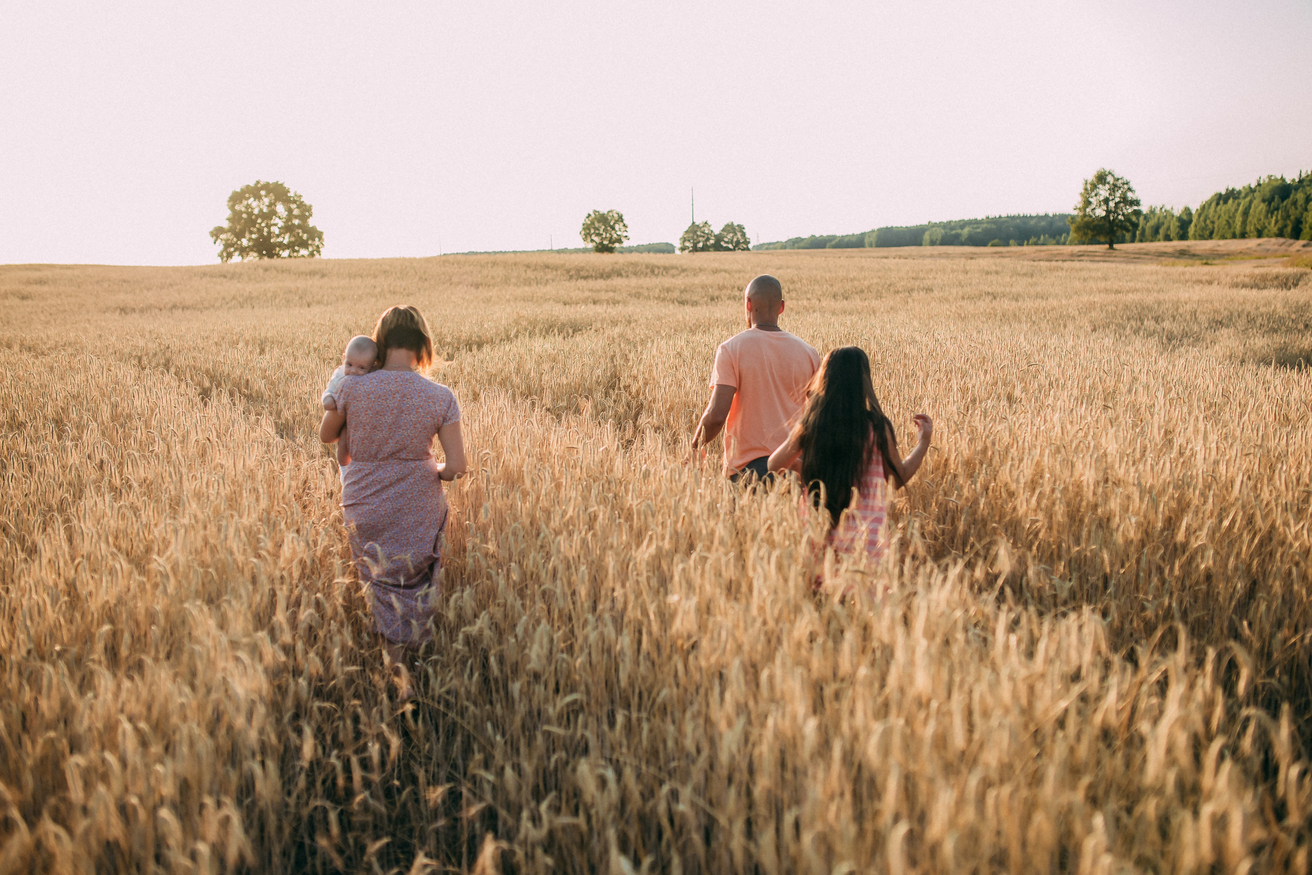 Поле. Свадебный и семейный фотограф Анастасия Меркуль
