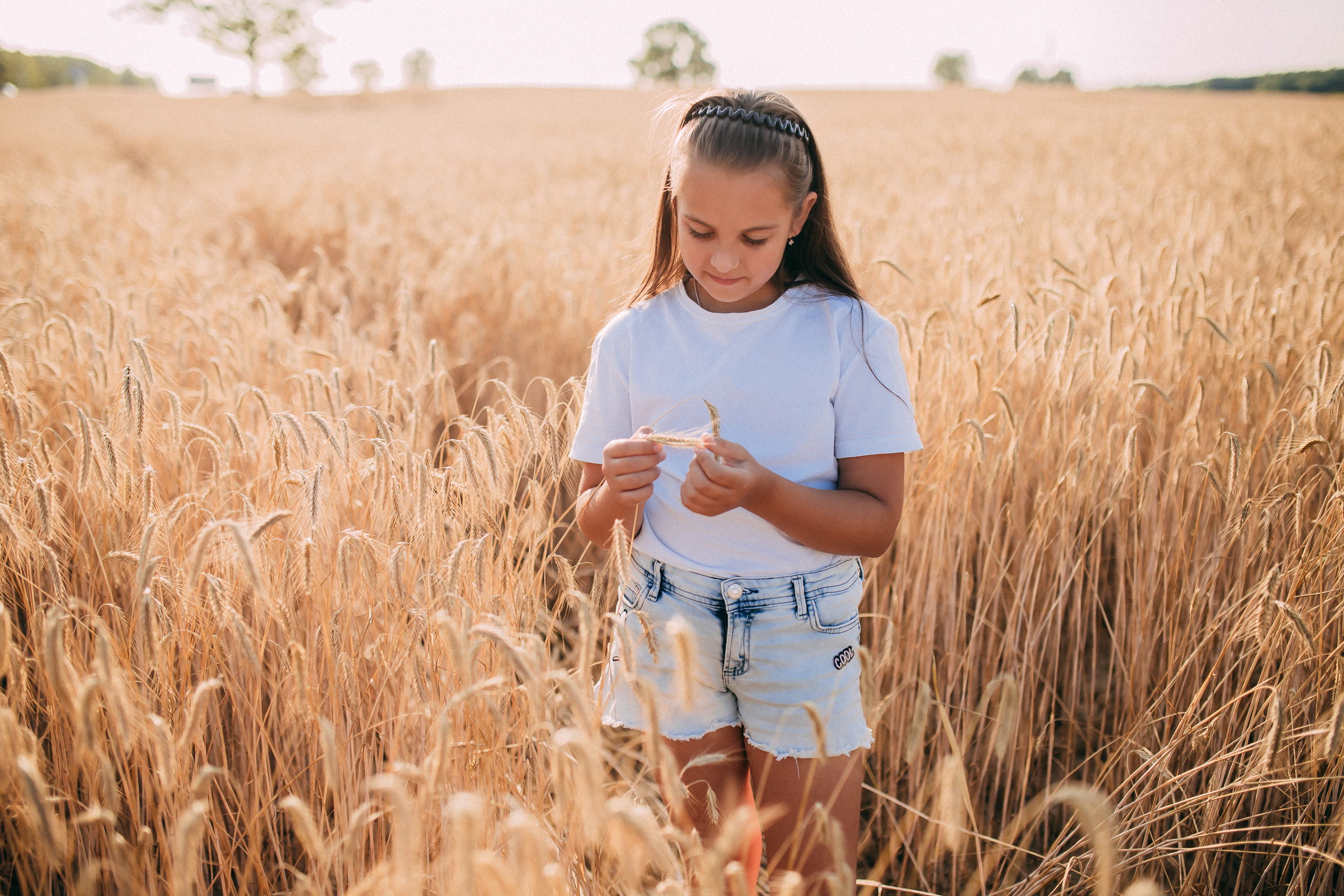 Поле. Свадебный и семейный фотограф Анастасия Меркуль