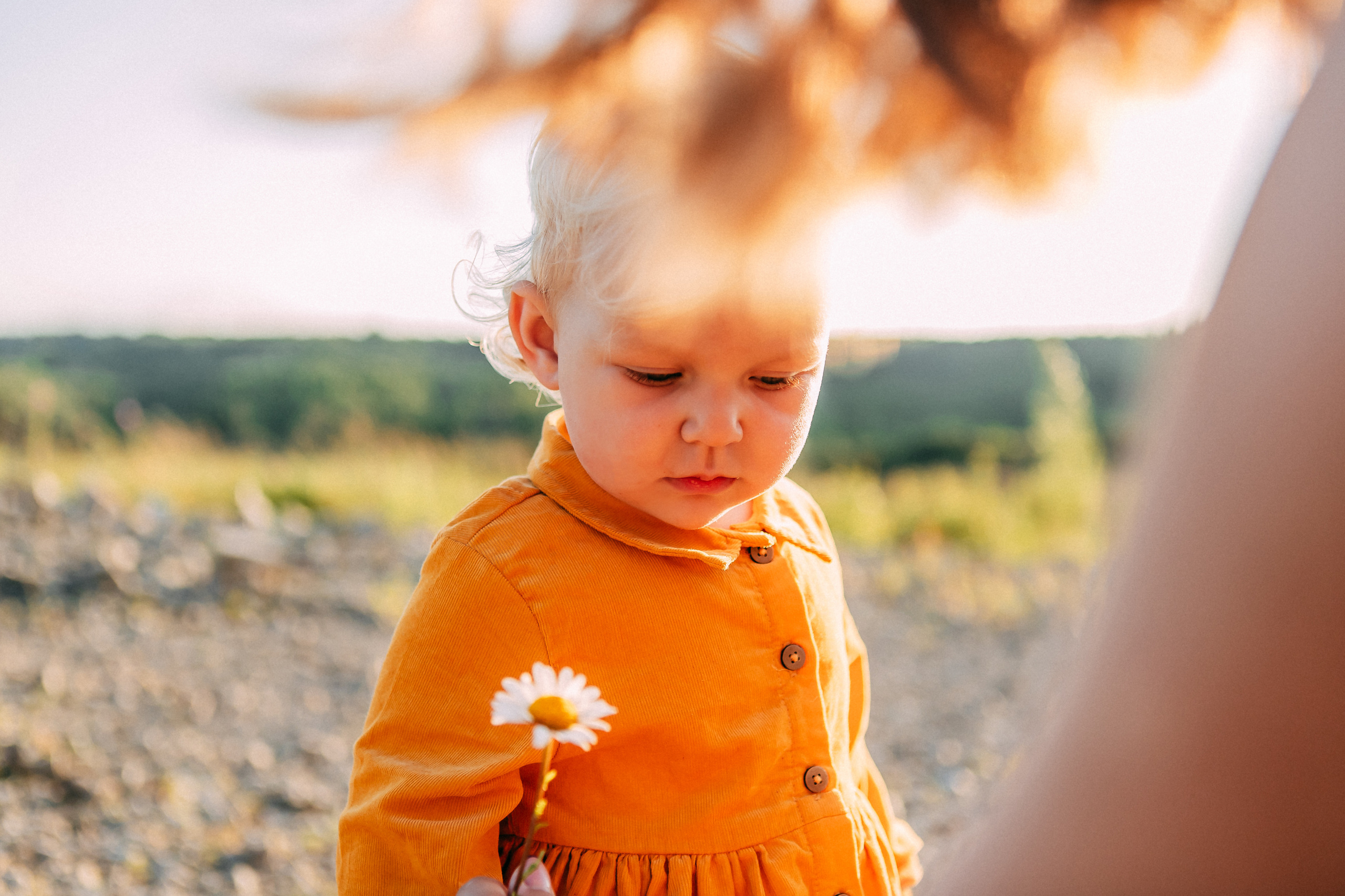 Карьер. Свадебный и семейный фотограф Анастасия Меркуль
