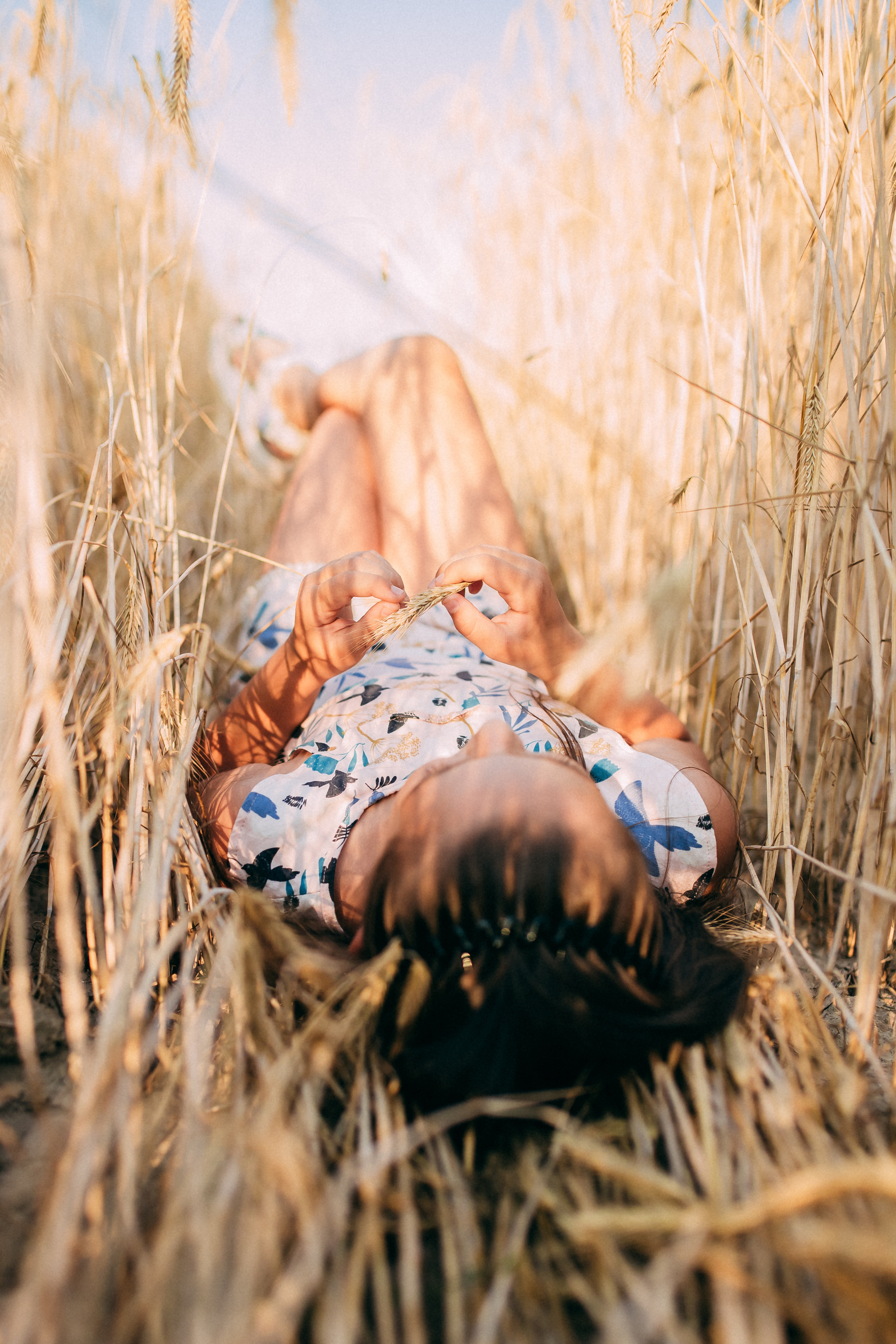 Поле. Свадебный и семейный фотограф Анастасия Меркуль